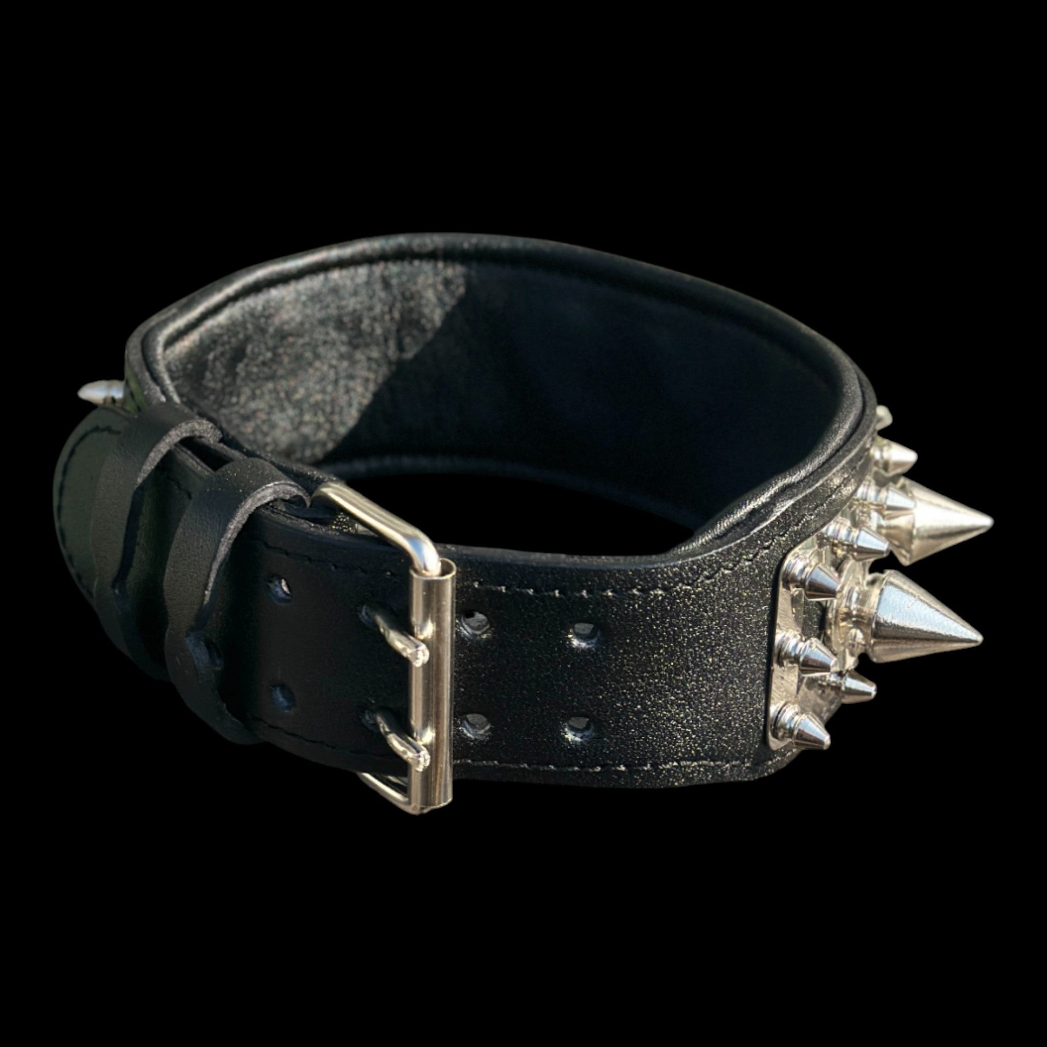 Cane Corso wearing Shadow Spike collar