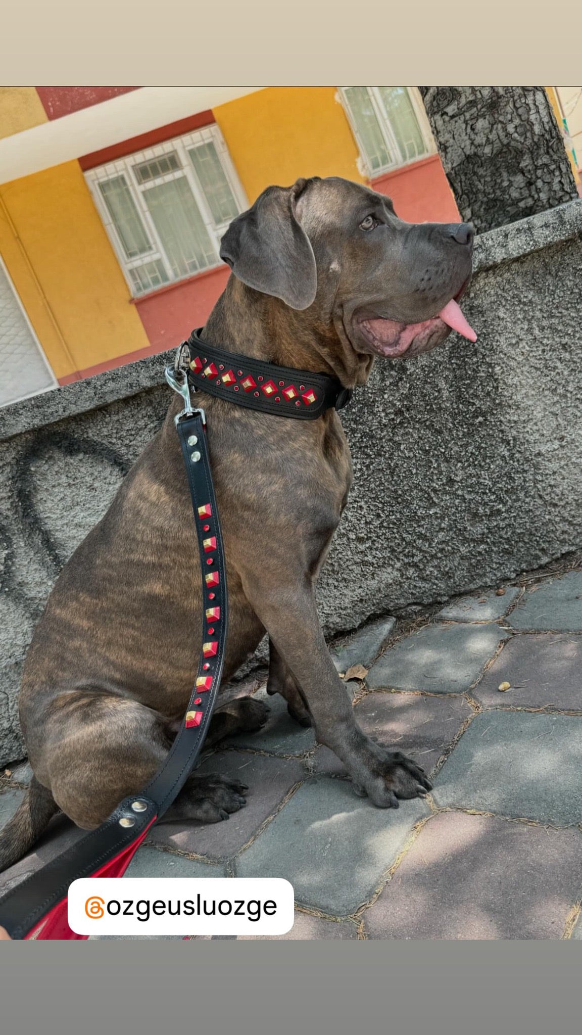 Handmade Black Leather Dog Collar & Leash Set with Red Crystal Stones – Luxury Wide Design