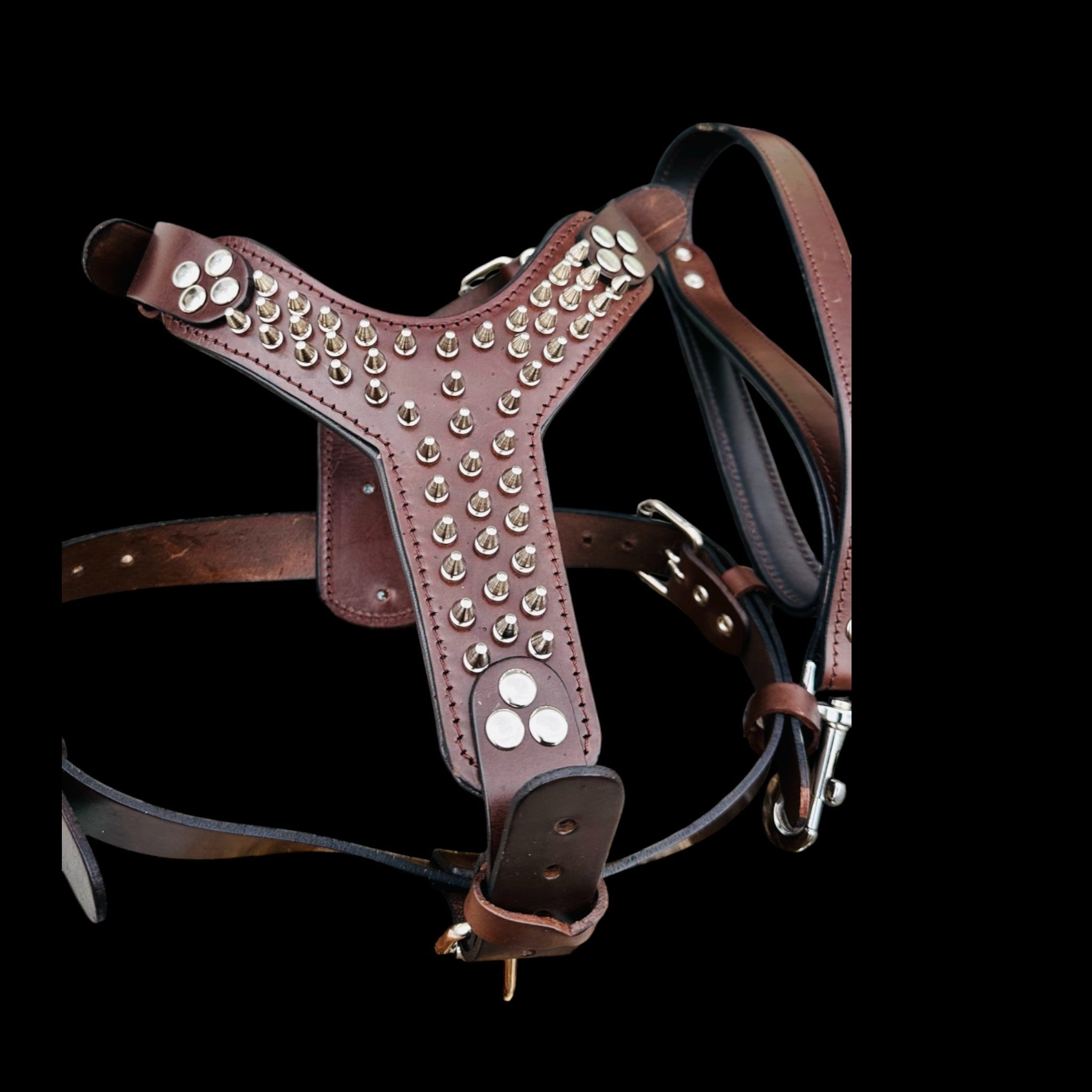 Handmade Spiked Dog Collar, Harness & Leash Set – Buffalo Leather for Large Breeds