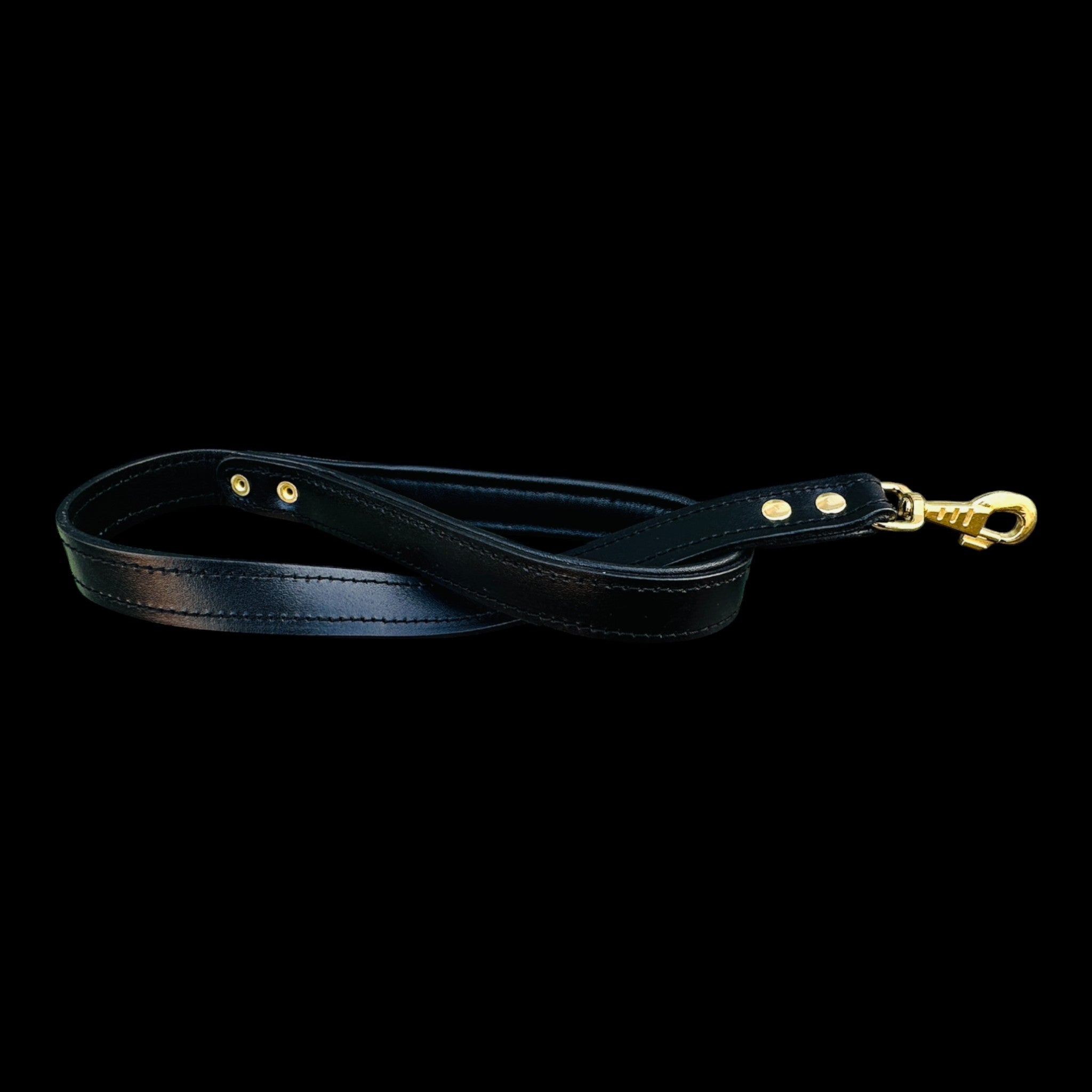Personalized strong breed dog collar with spikes