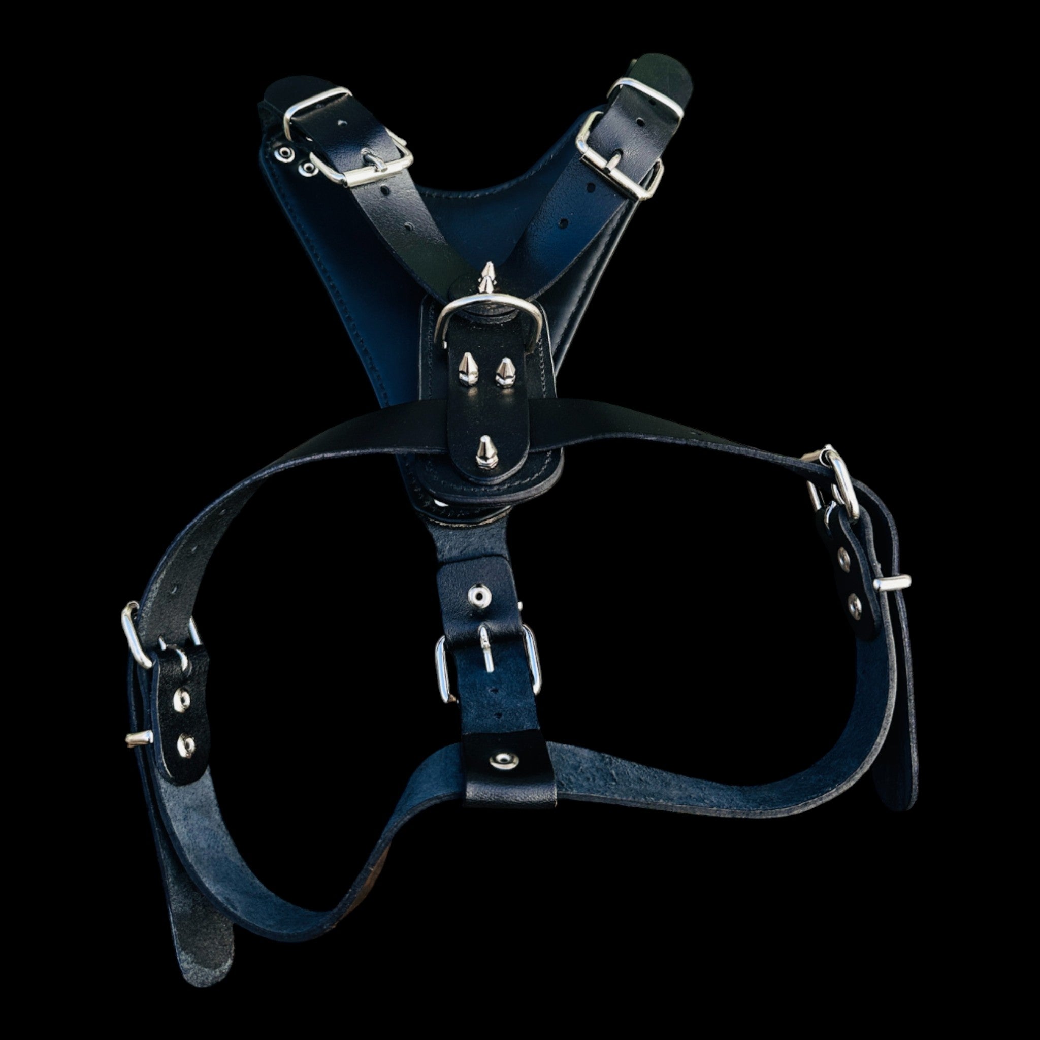 American Bully wearing Pitbull emblem buffalo leather harness