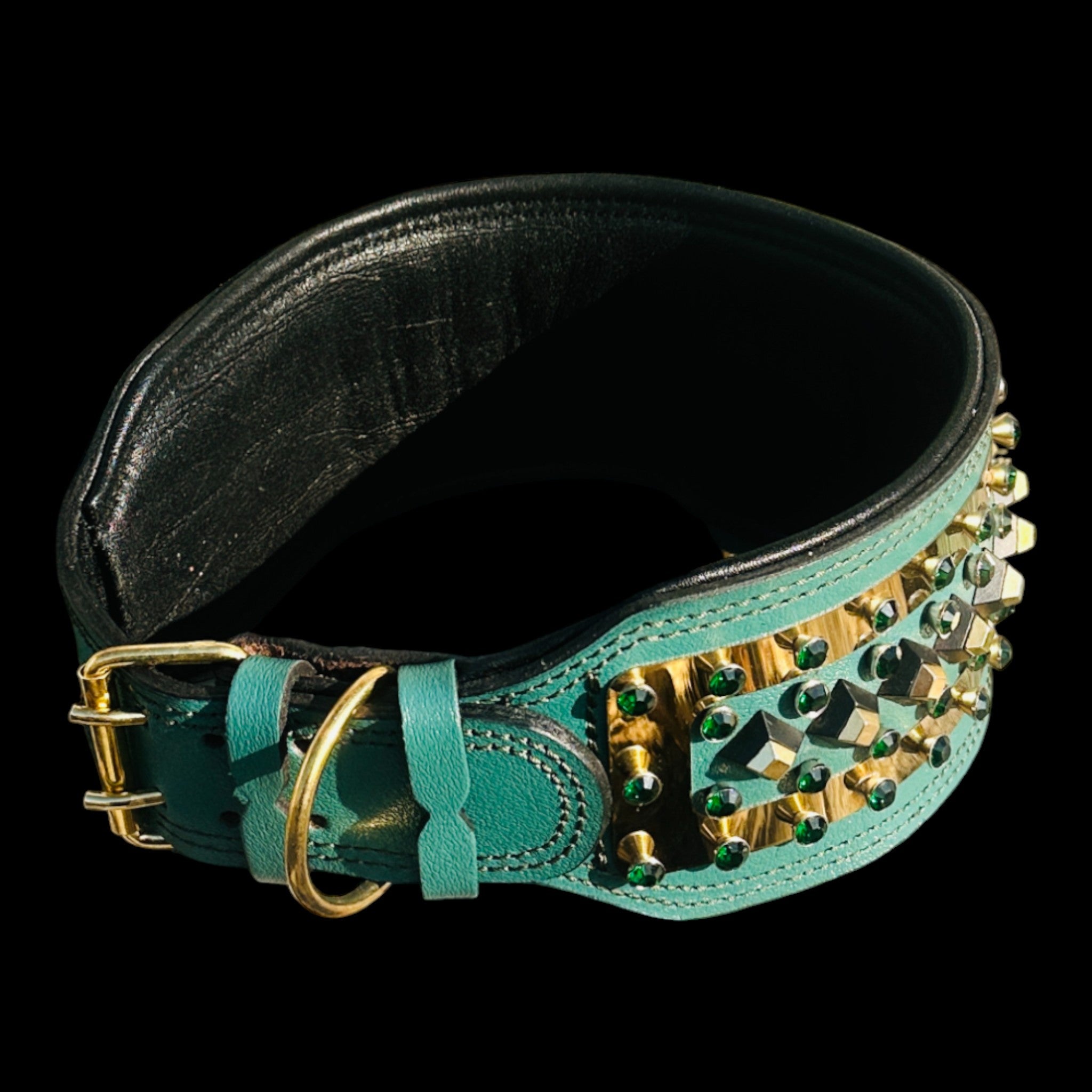 3.93 inch wide luxury collar with engraved photo plate