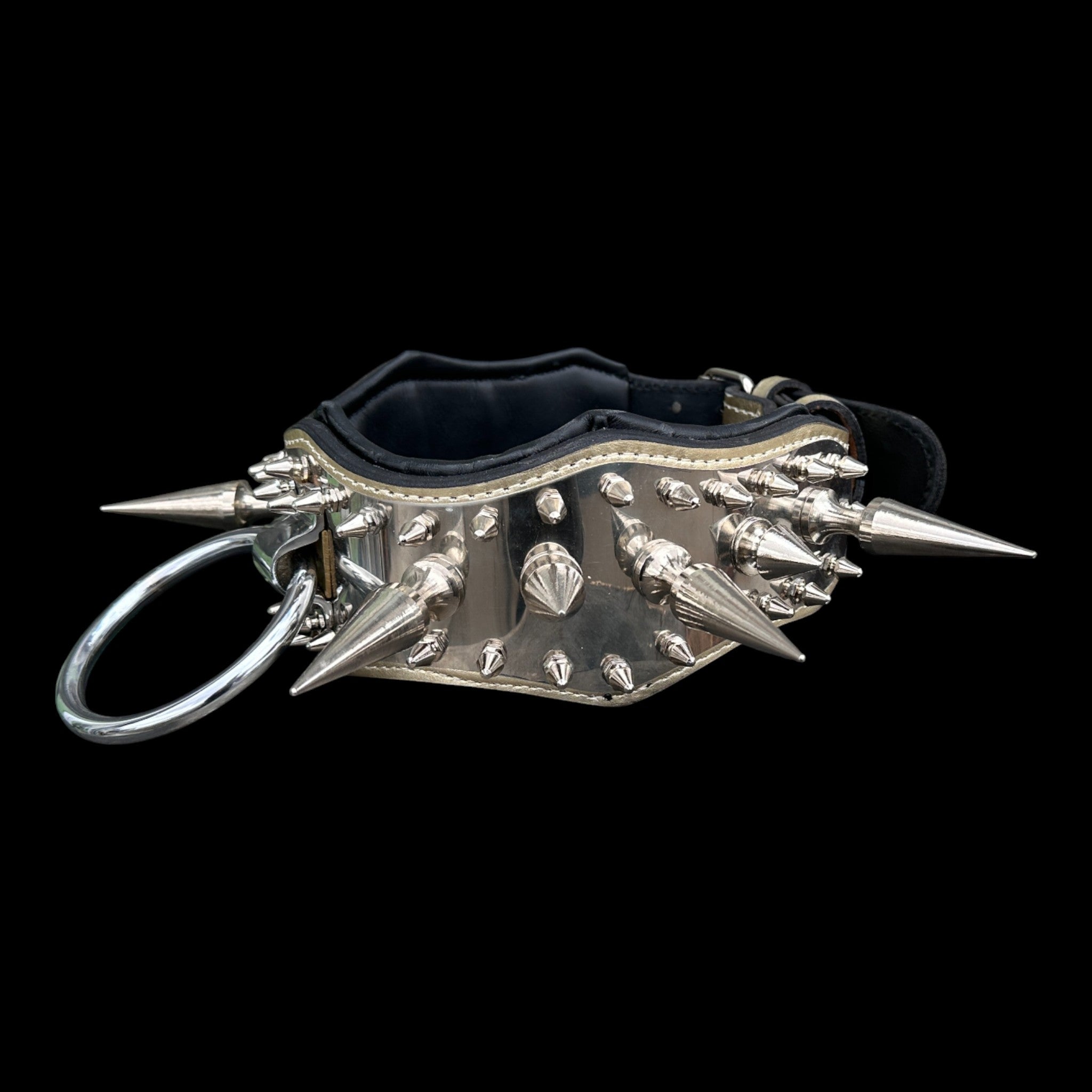 Extreme black leather collar with heavy D ring