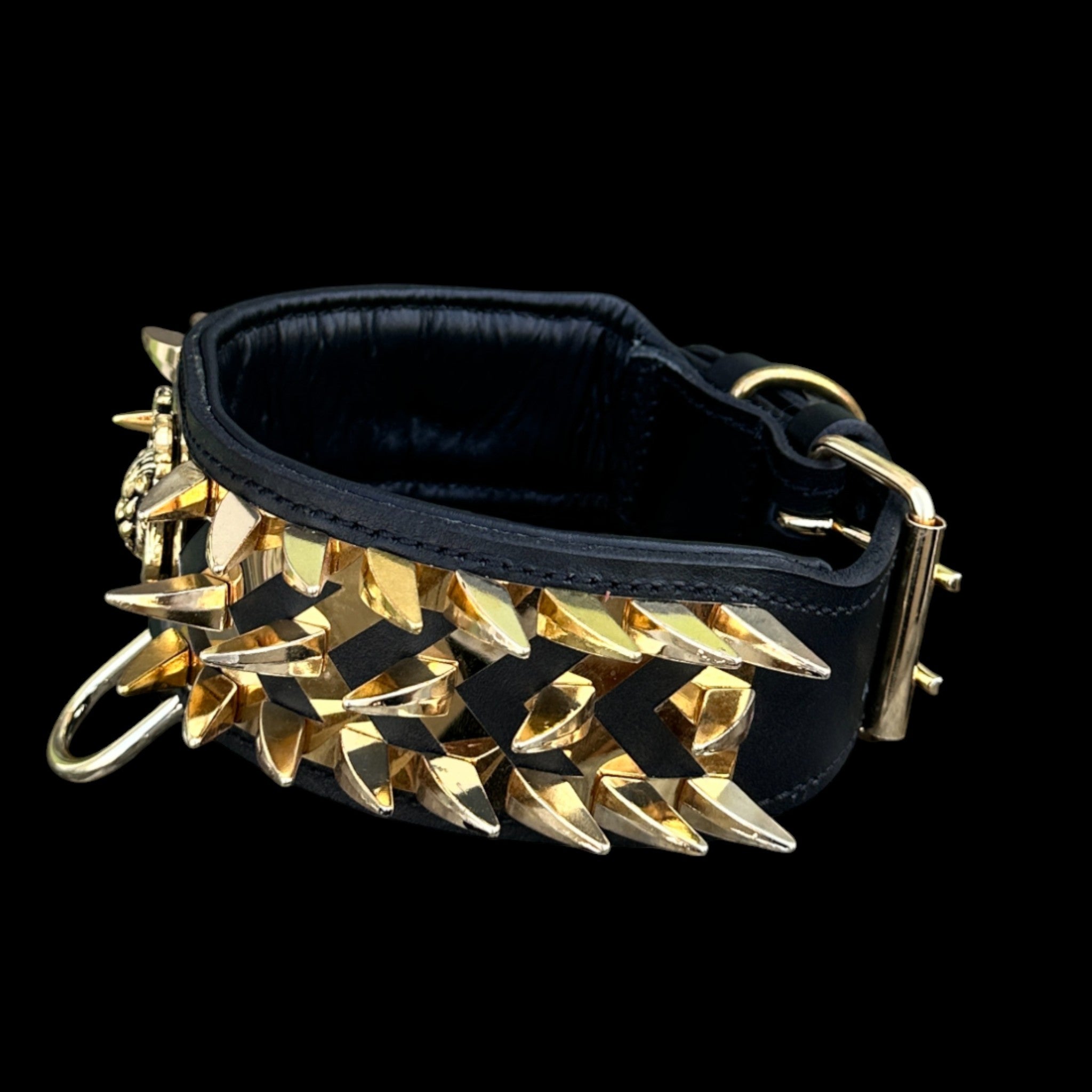 aureus_fang_dog_collar_2_36inch