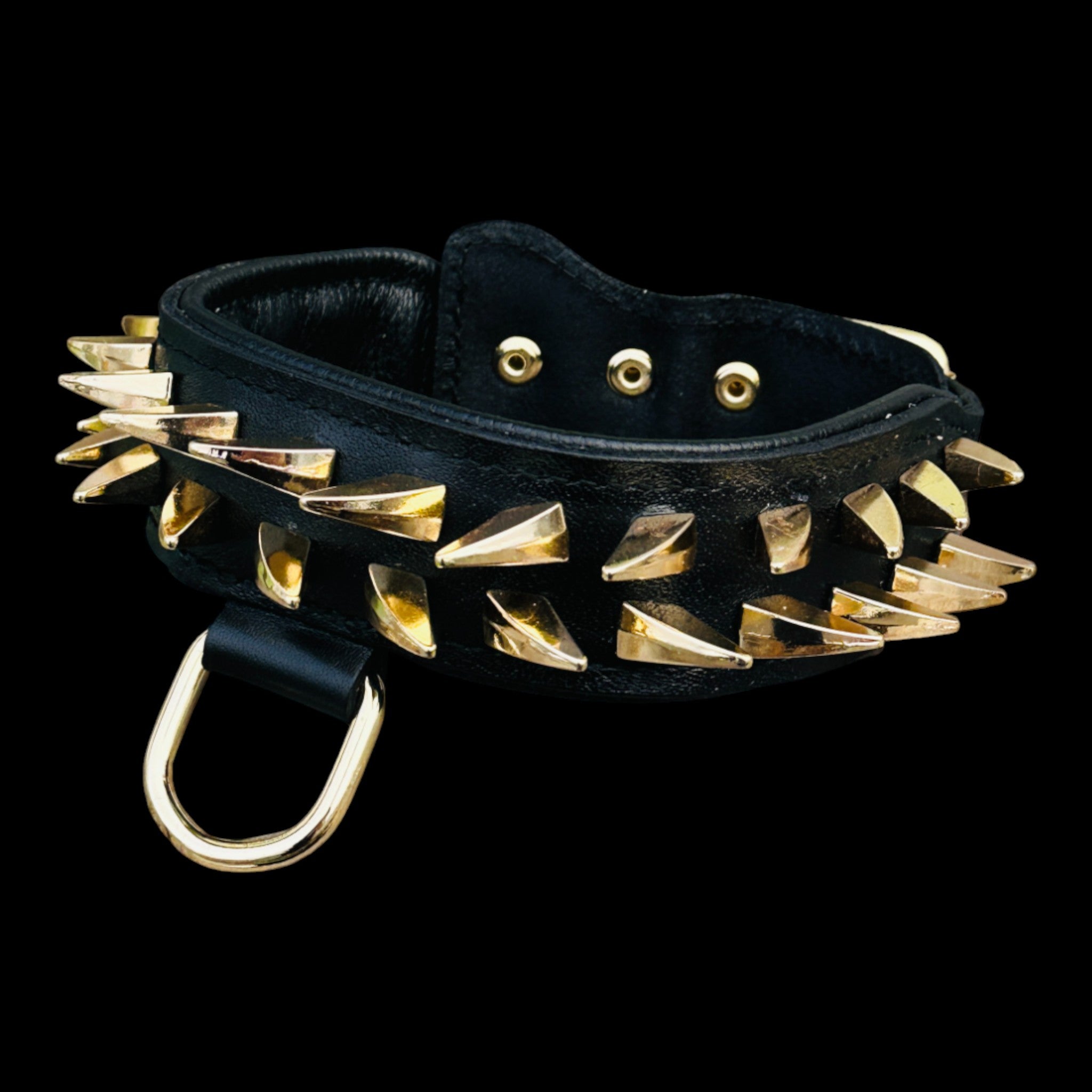 Buffalo leather collar with polished gold hardware