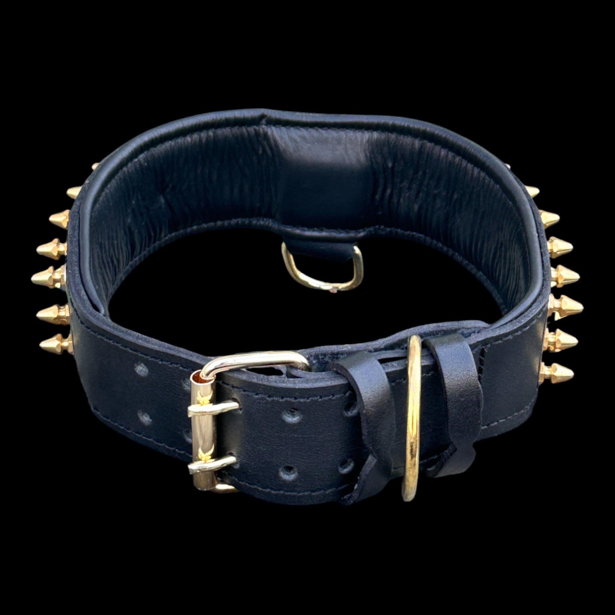 A&C Dog Collars gold lion emblem collar with heavy spikes