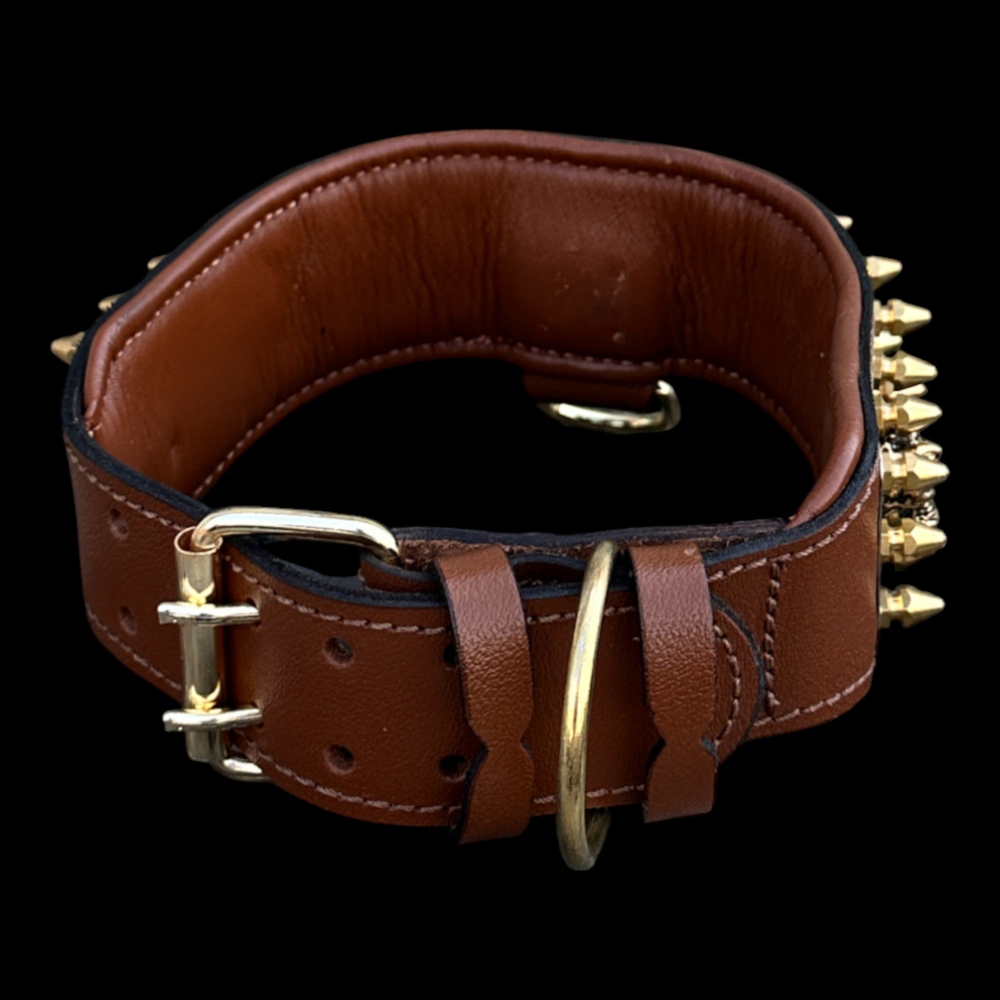 Strong breed 6 cm gold dog collar for Cane Corso and Rottweiler