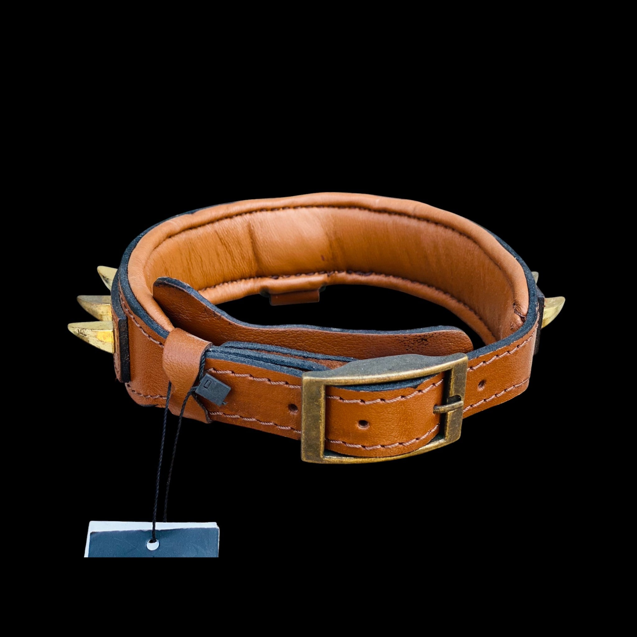 Back view of spiked leather dog collar with Native American style logo and heavy duty steel D-ring