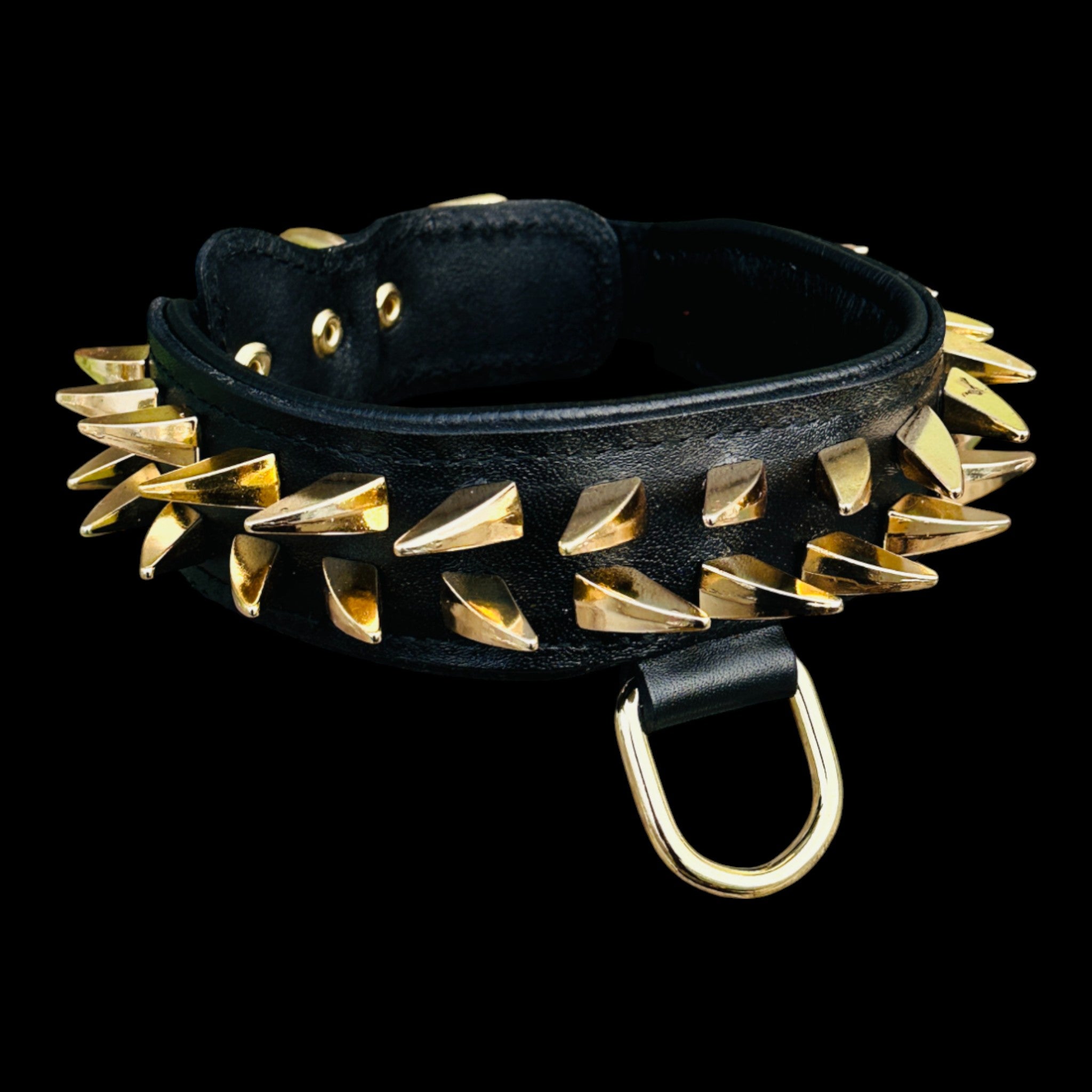 Medium breed leather collar with ivory-shaped spikes