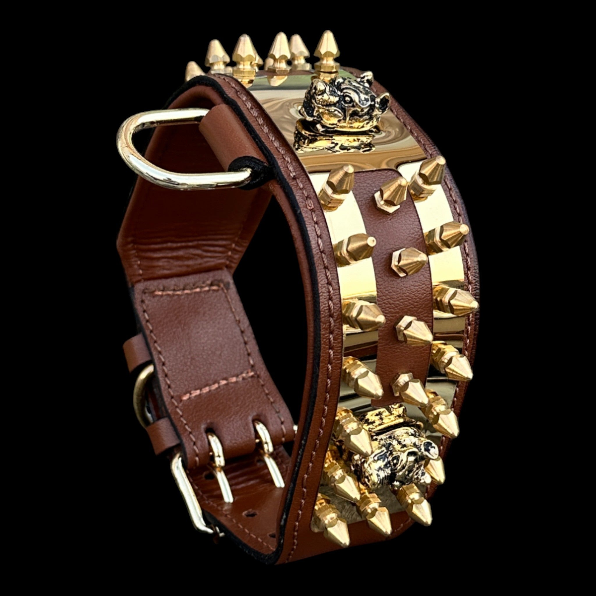 6 cm (2.36 inch) gold American Bully head dog collar with spikes