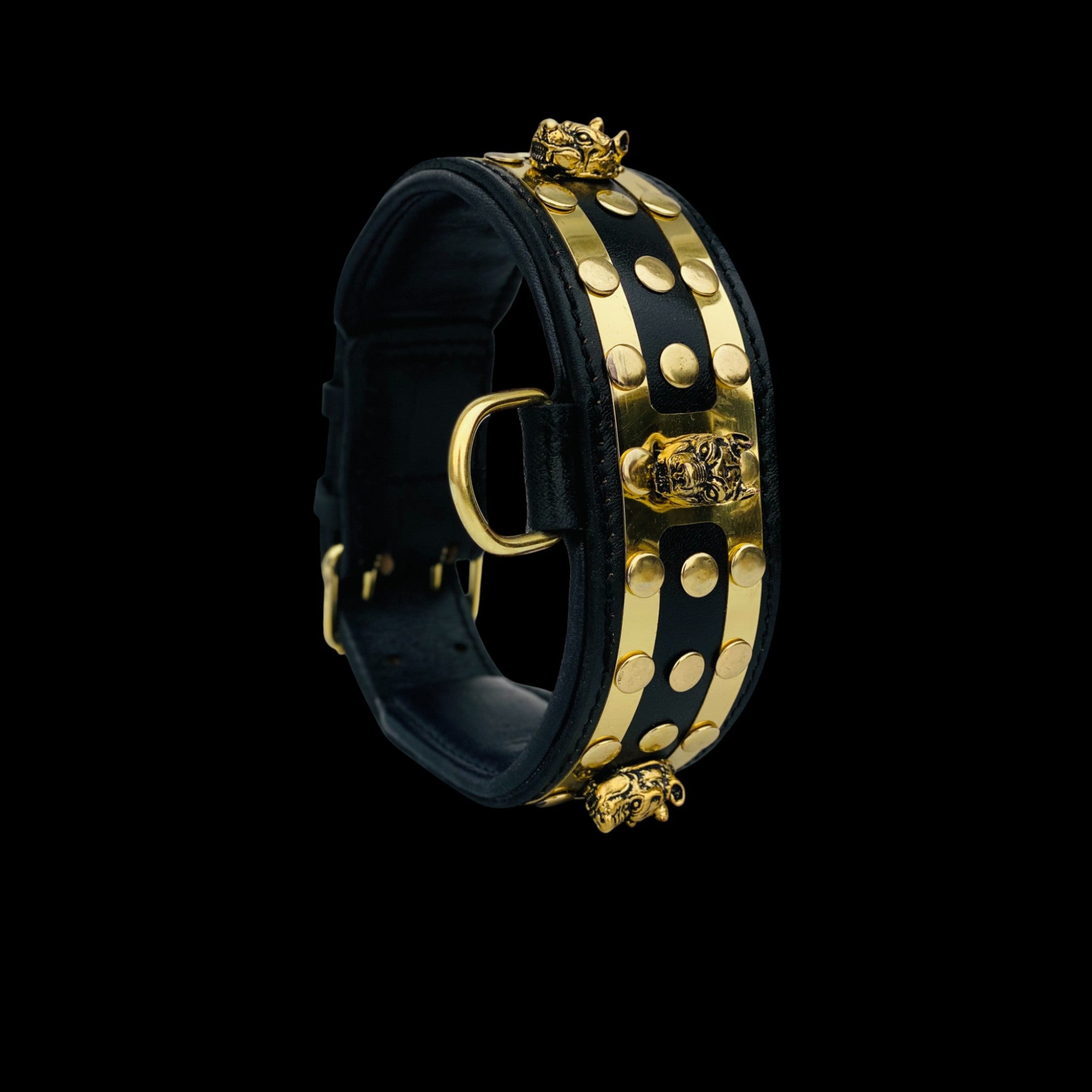 Close-up view of Bully King Gold Edition leather dog collar showing gold-plated steel plates and heavy-duty buckle
