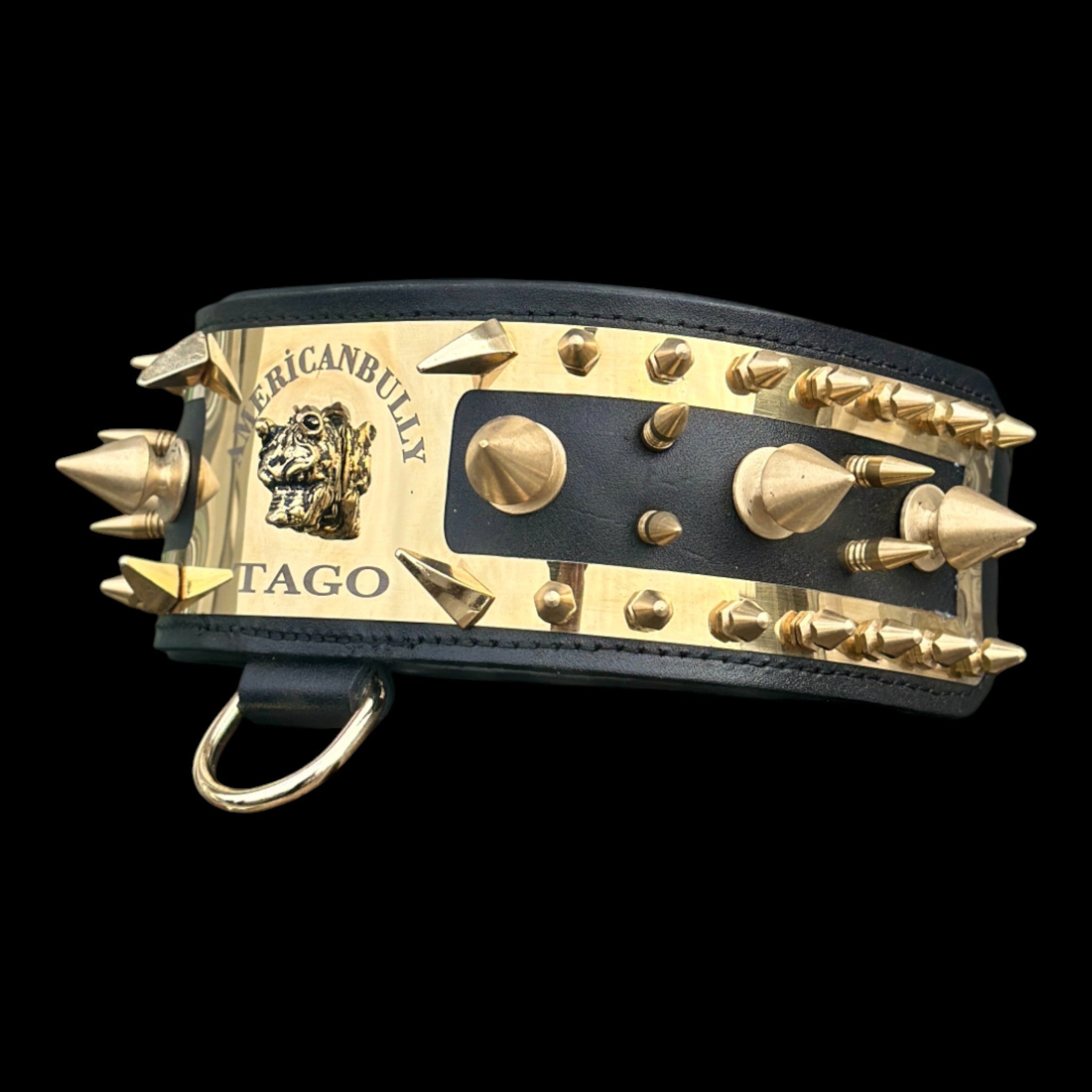 Luxury gold steel plate collar for American Bully and Cane Corso