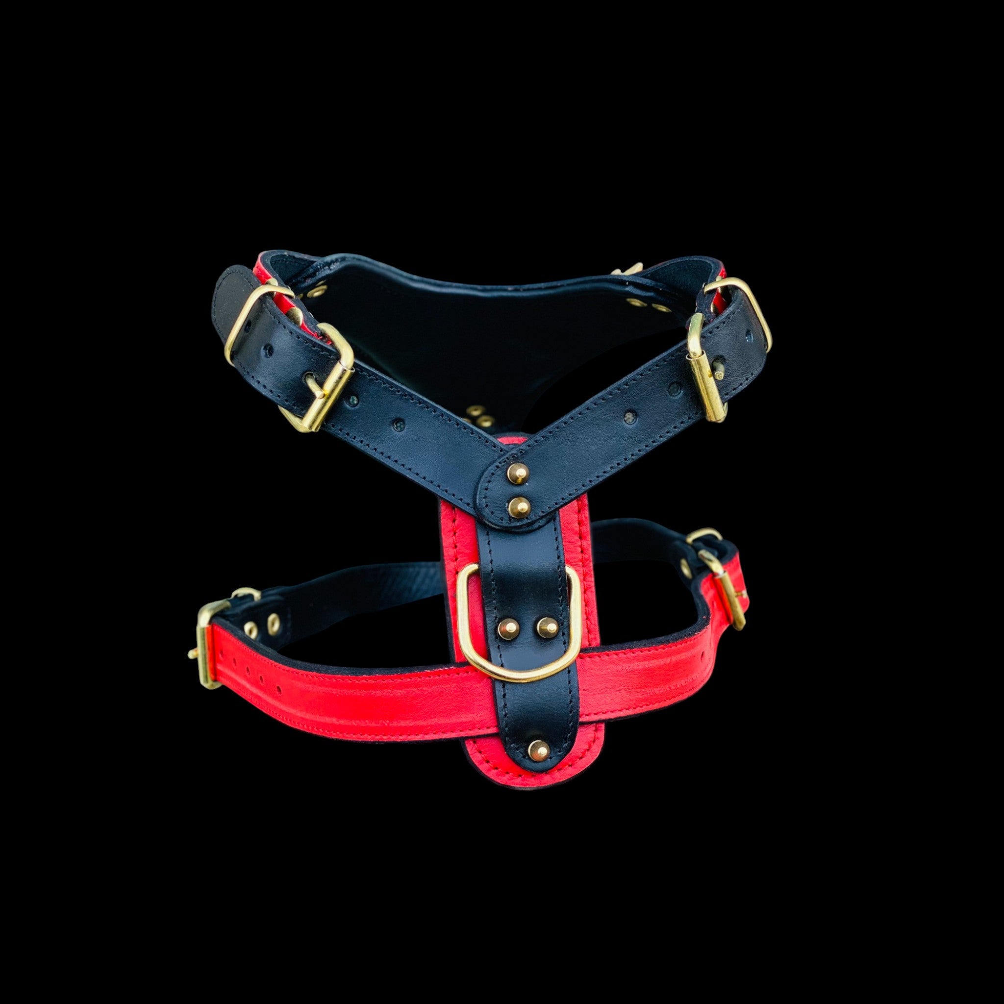 Strong red and black harness for Cane Corso and K9