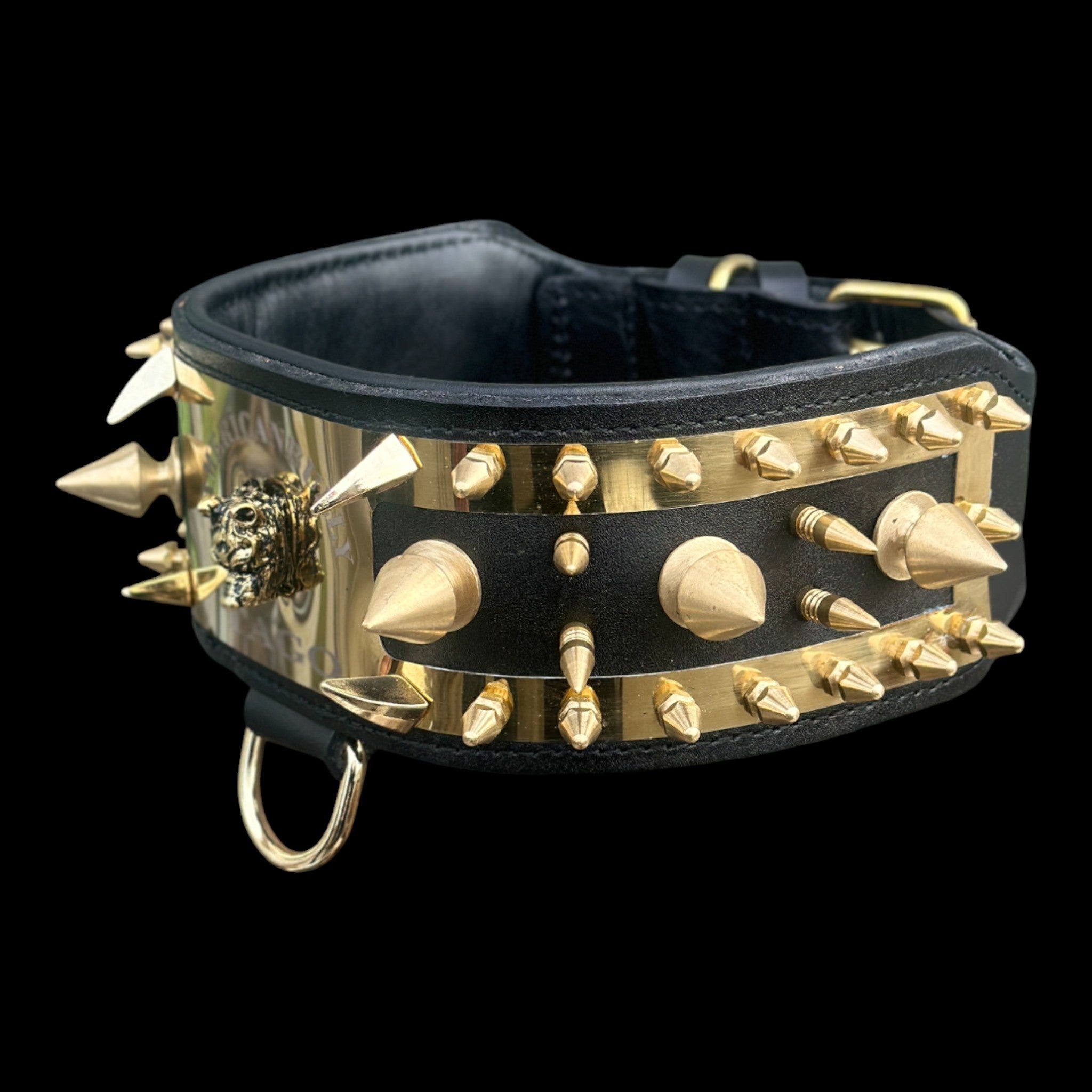 Custom engraved dog collar with large gold spikes