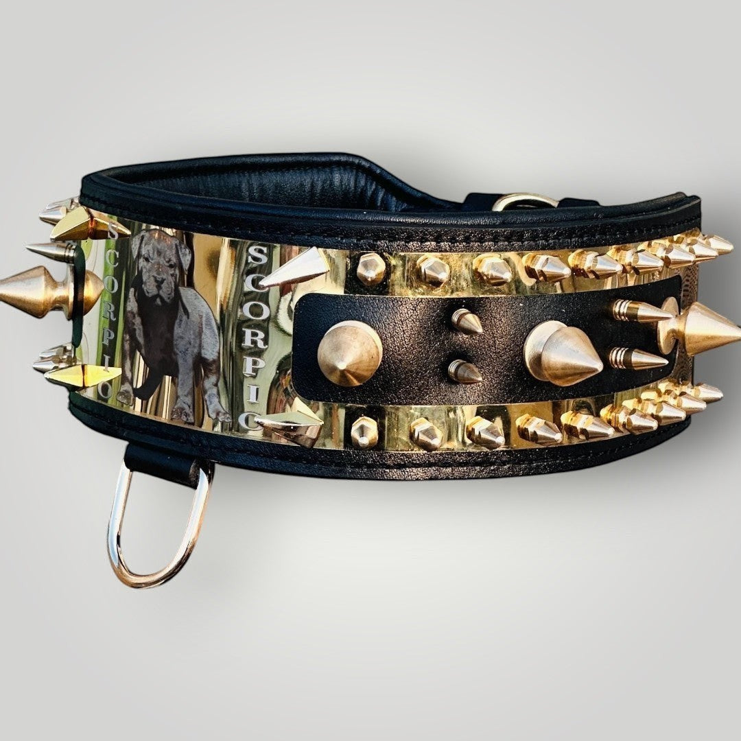 Black leather dog collar with layered gold spikes, front buckle view
