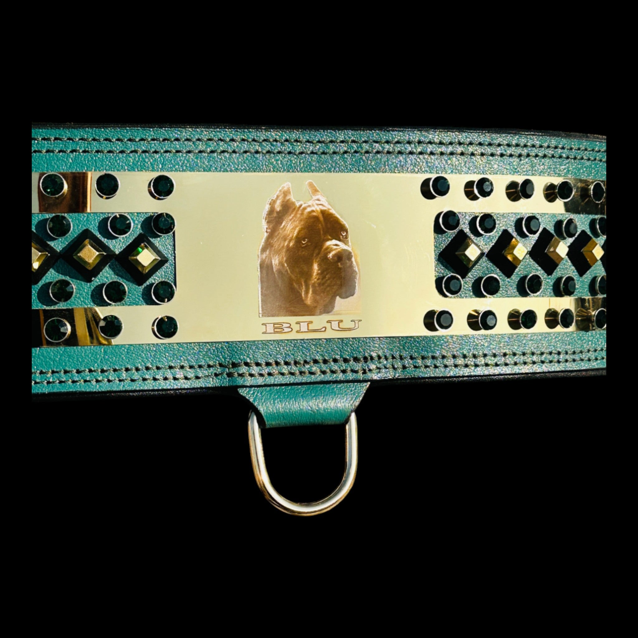 American Bully handmade engraved gold dog collar