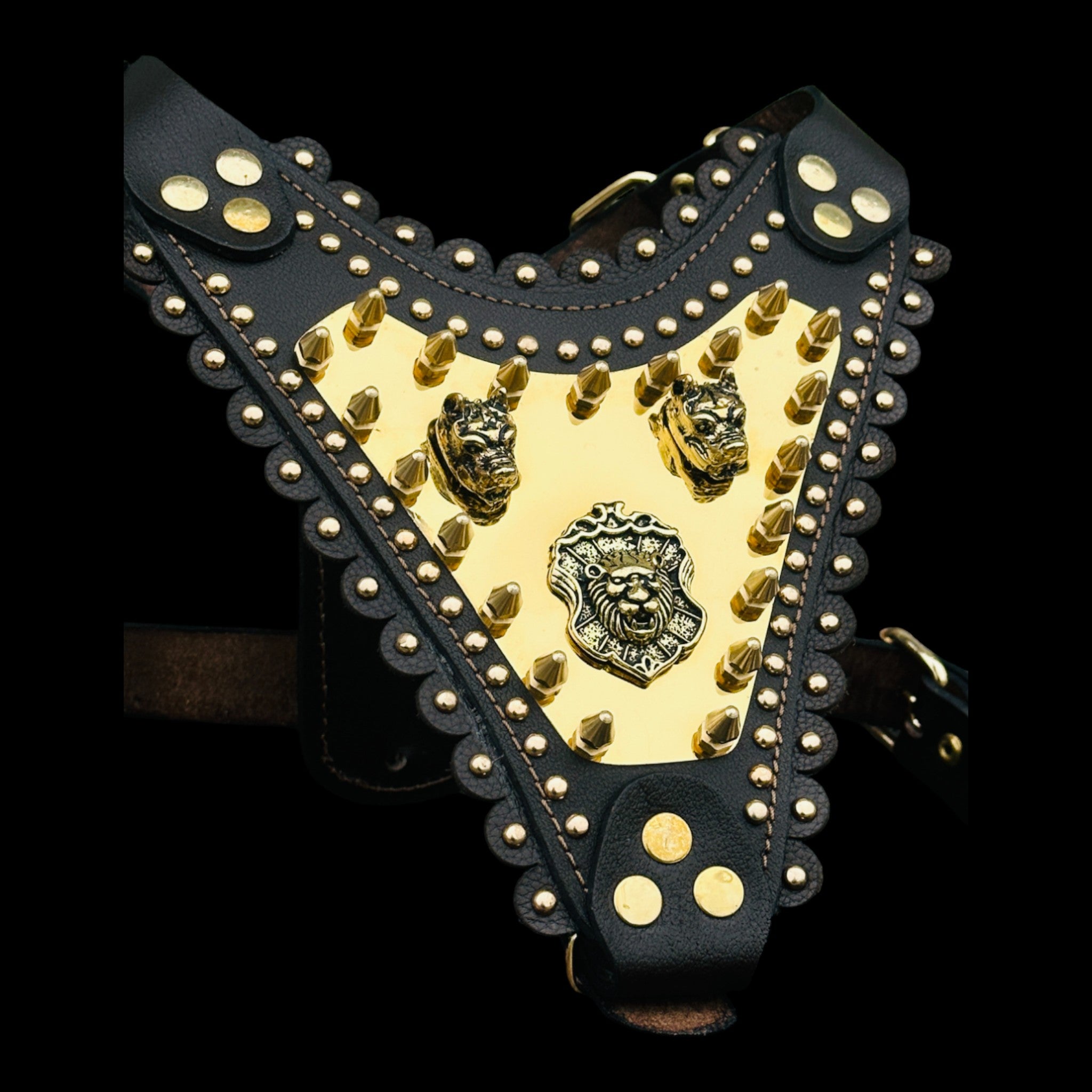 Luxury leather harness for Cane Corso and large breeds