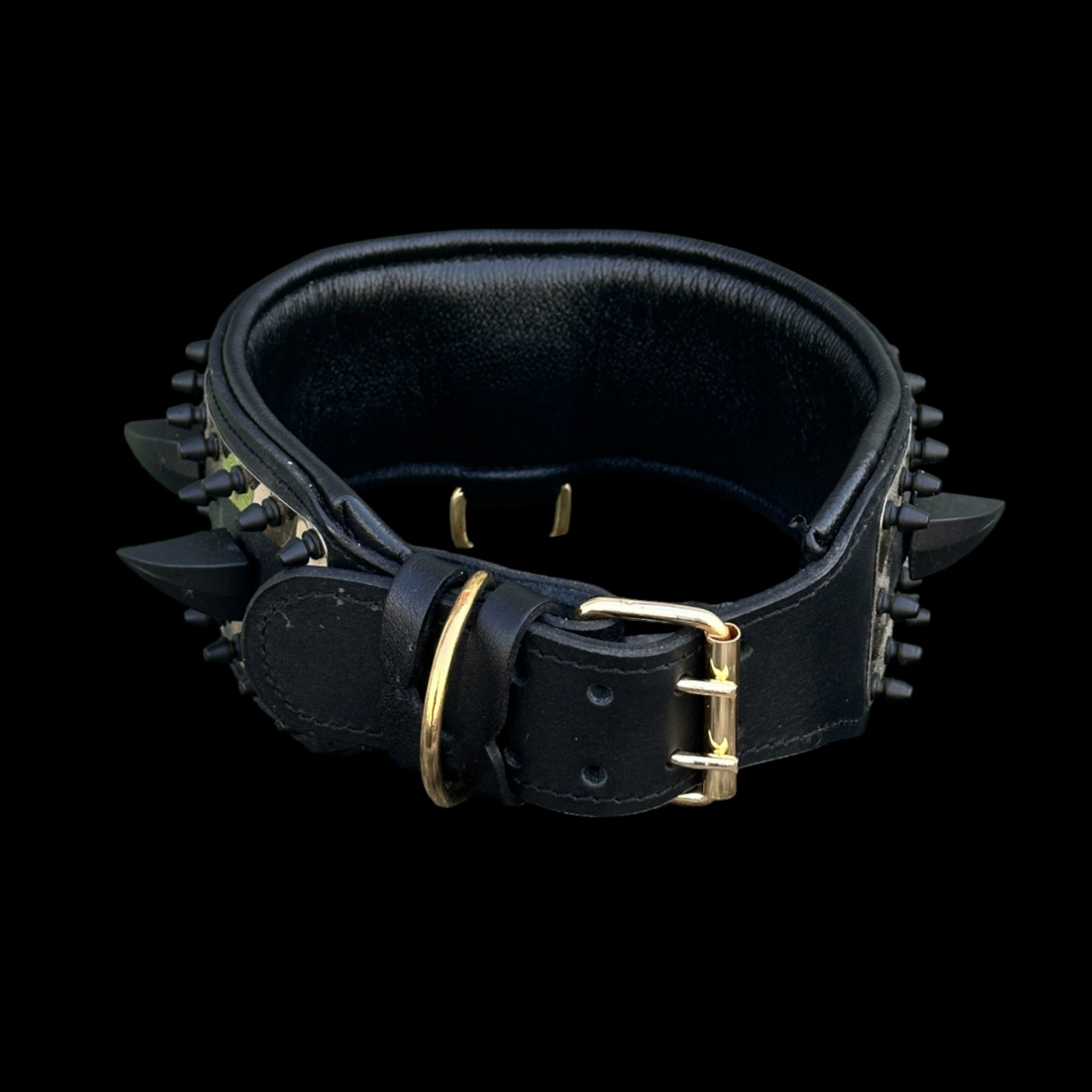 Strong and stylish lion head dog collar for K9 and Malinois