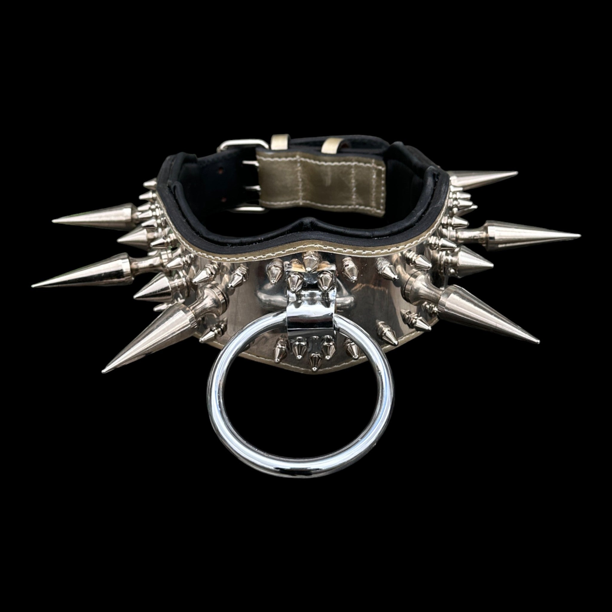 American Bully chrome spike extreme dog collar