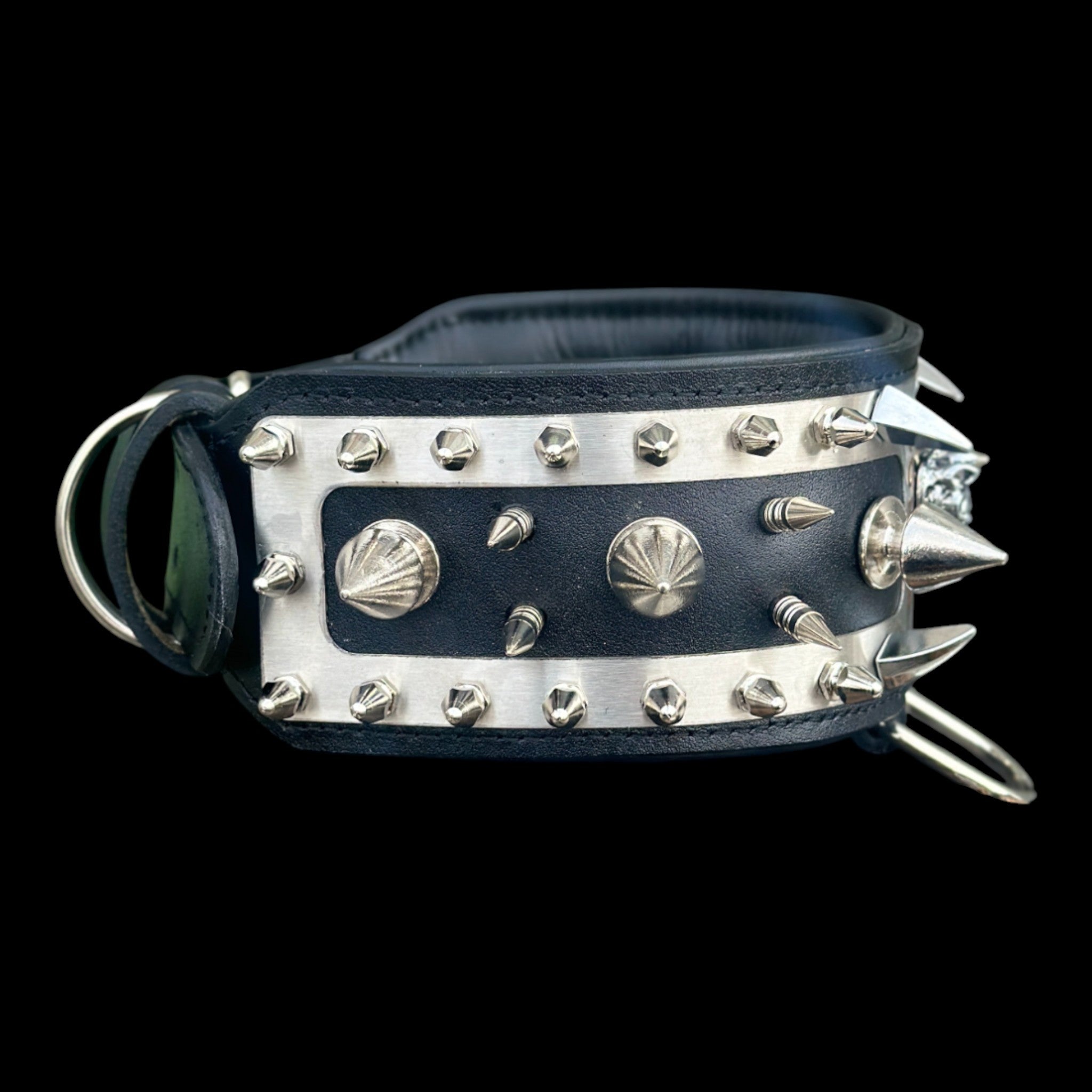 Cane Corso chrome spike leather dog collar