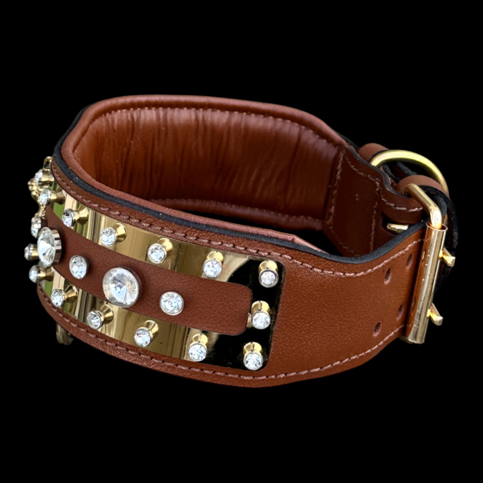 Premium buffalo leather gold dog collar for strong breeds