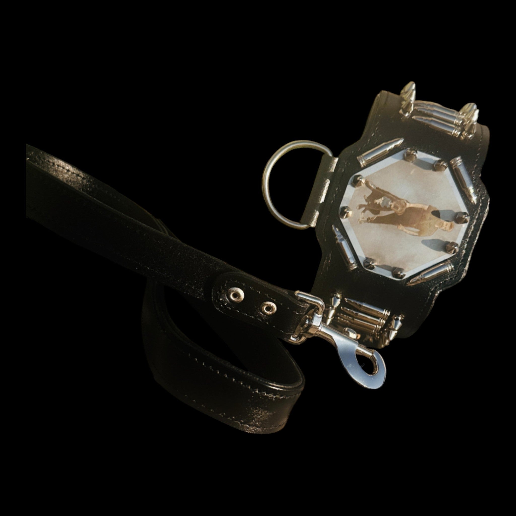 APEX edition heavy-duty dog collar for strong breeds