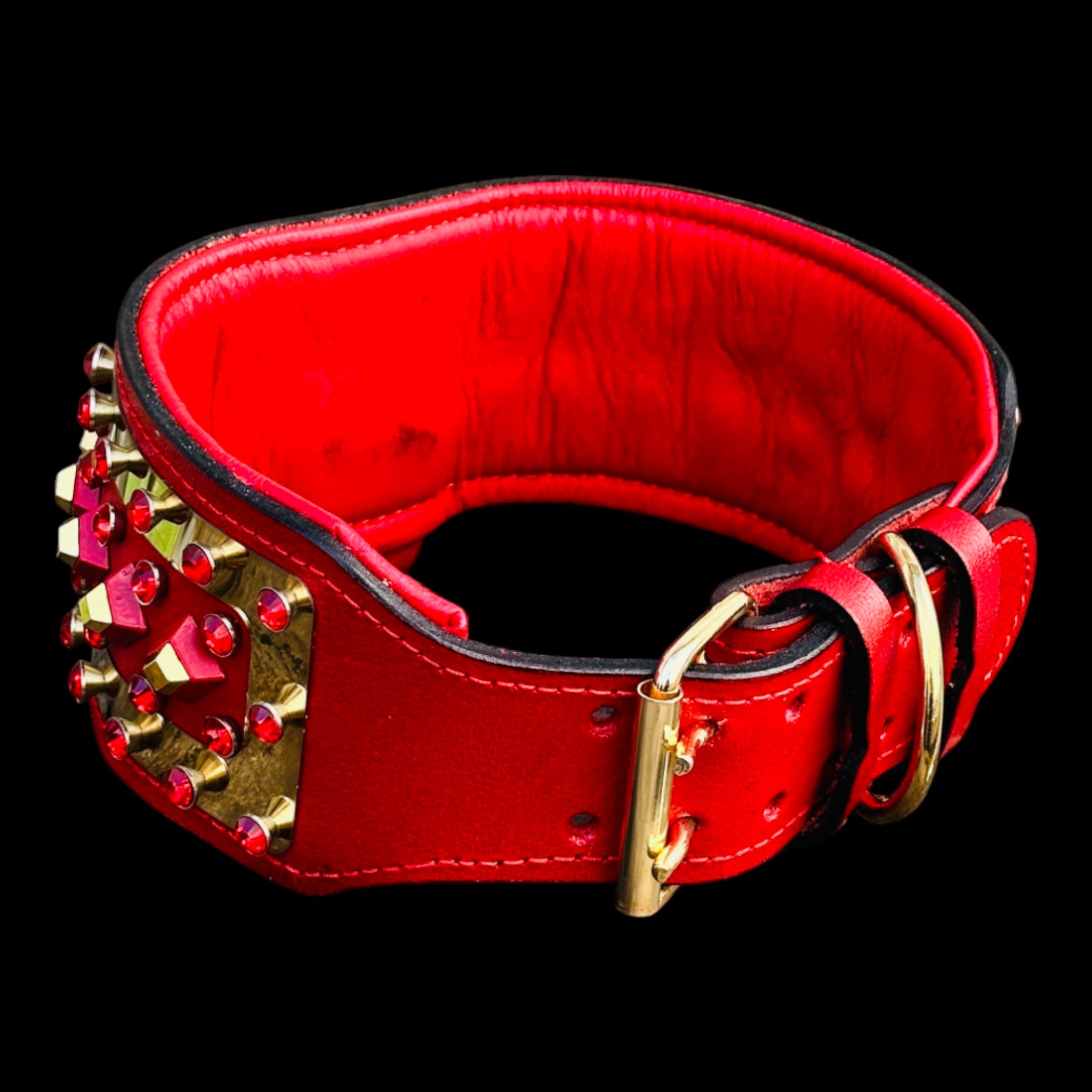 Cane Corso wearing Lion’s Flame collar