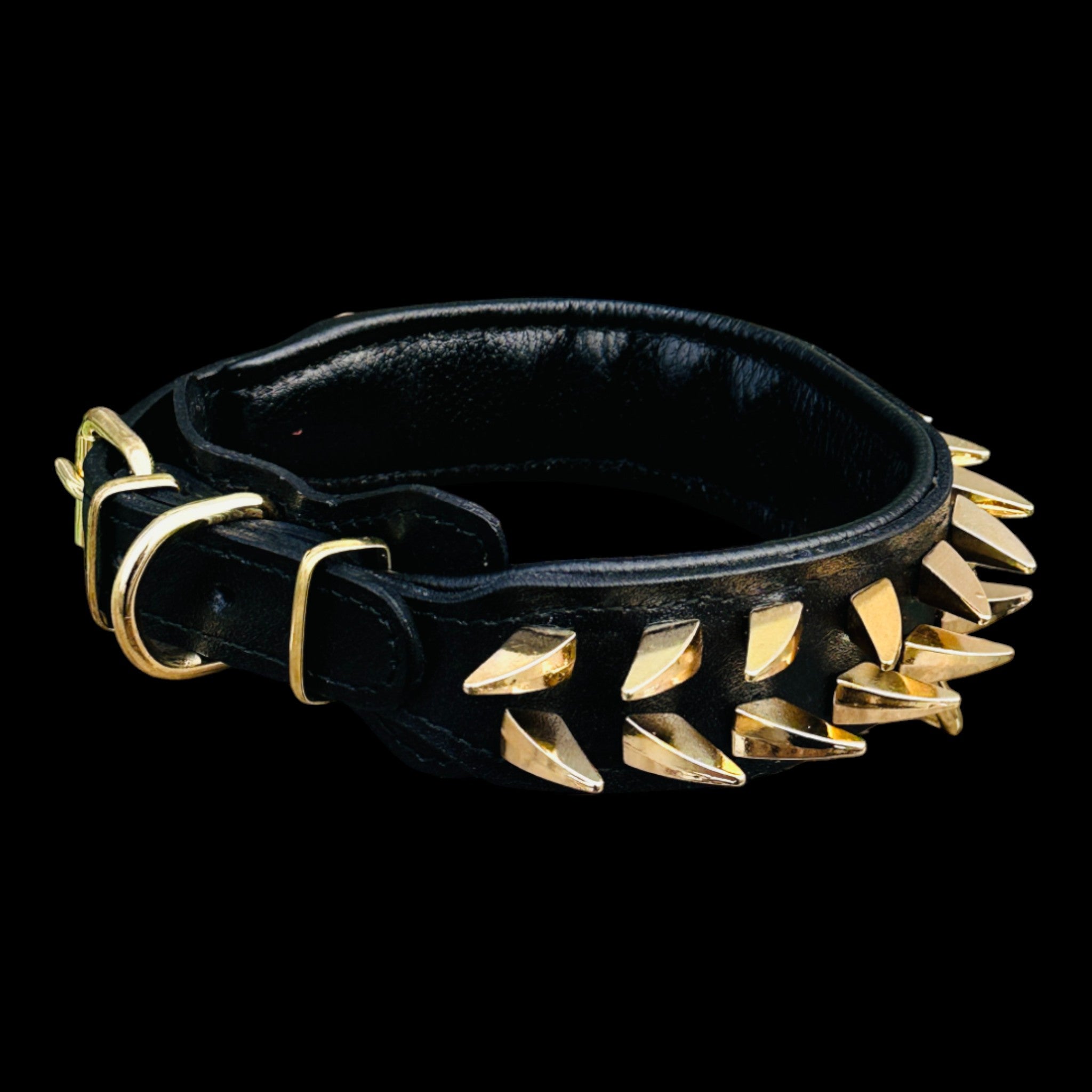 Pitbull luxury black and gold dog collar