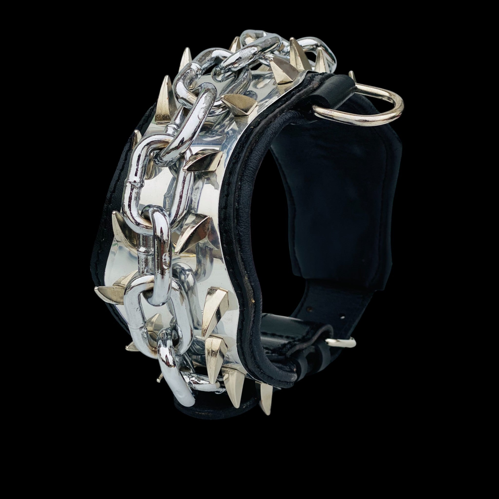 American Bully wearing heavy chain leather collar set