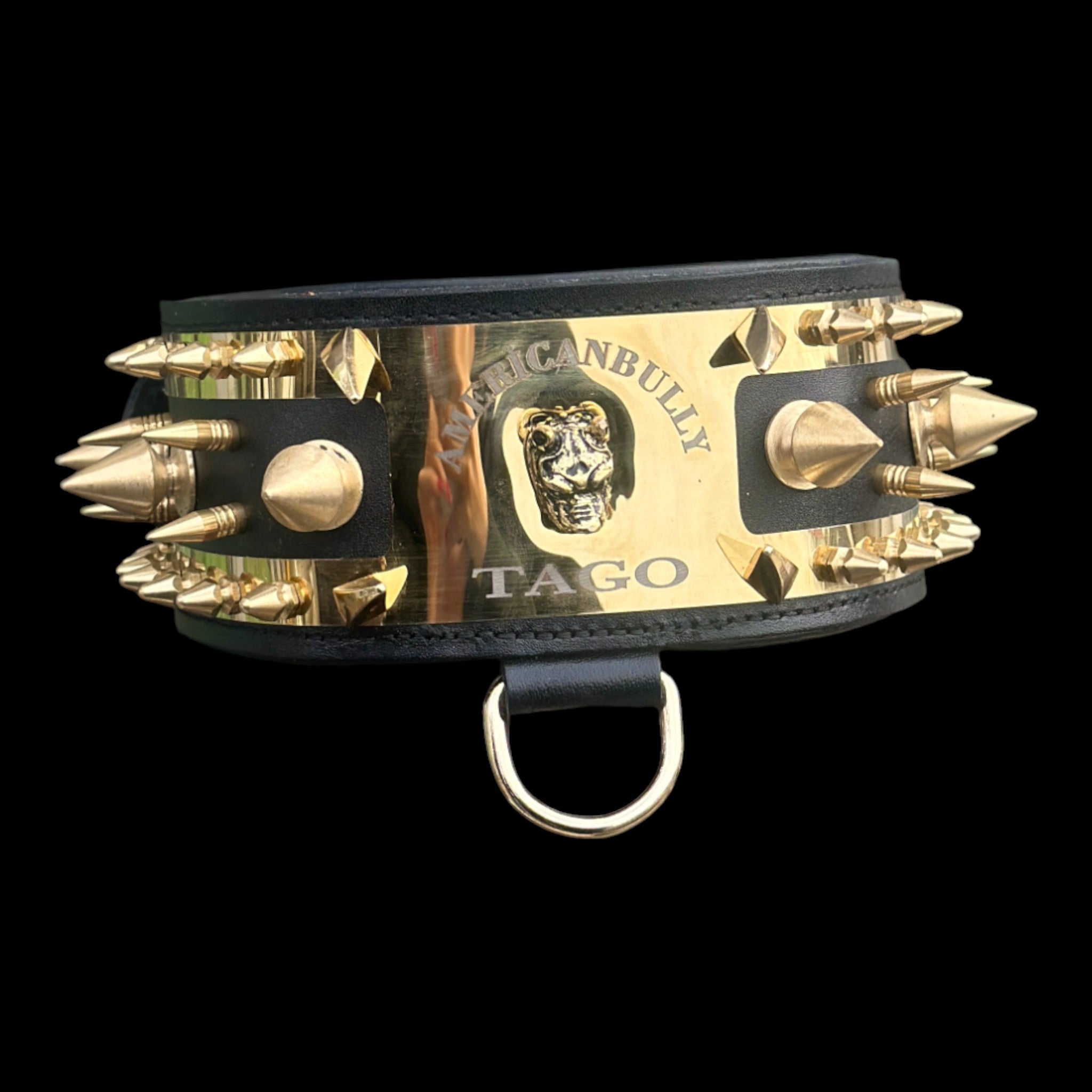 Gold reflective collar for strong breeds like Rottweiler and K9