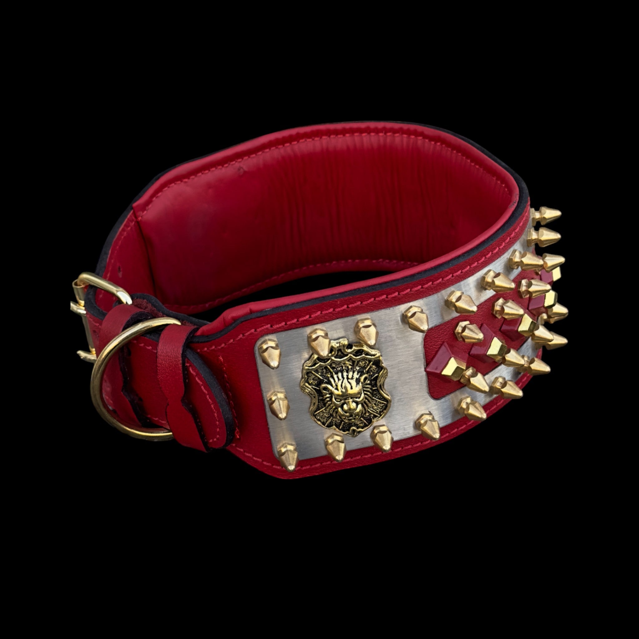 Buffalo leather dog collar with steel plate and gold studs for Cane Corso and Rottweiler.