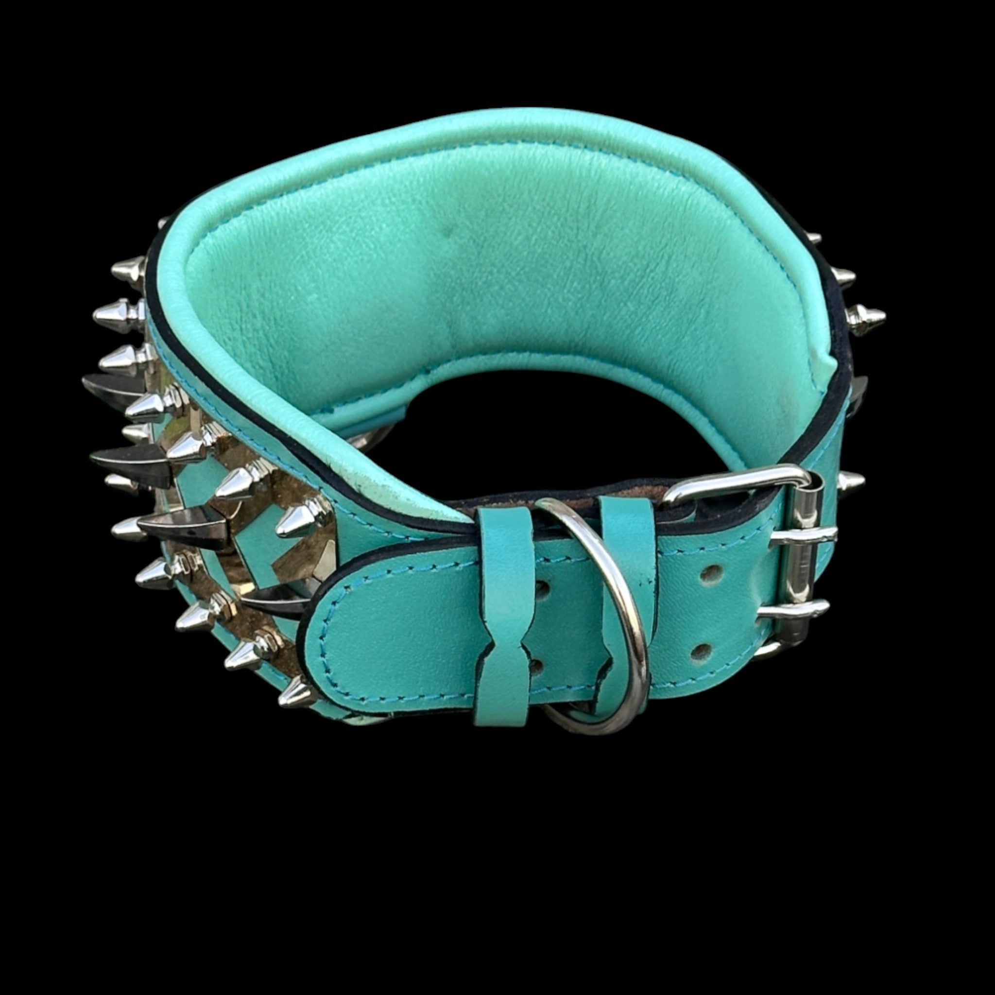 Buffalo leather dog collar with turquoise base and spiked accents for Cane Corso and Rottweiler.