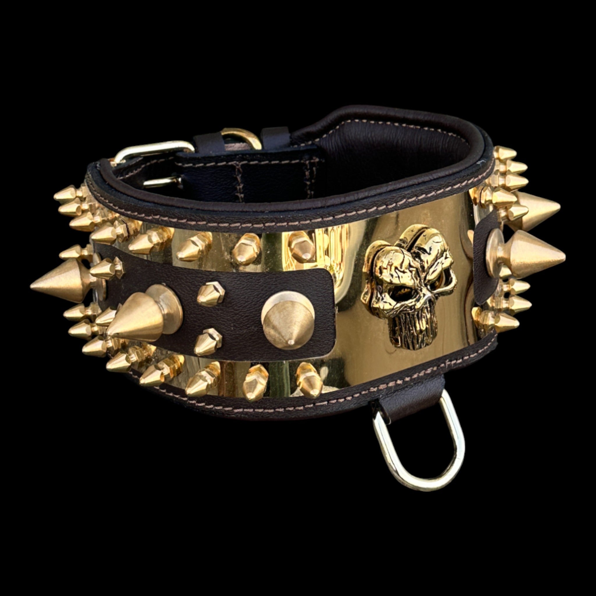 Golden Punisher Elite Dog Collar