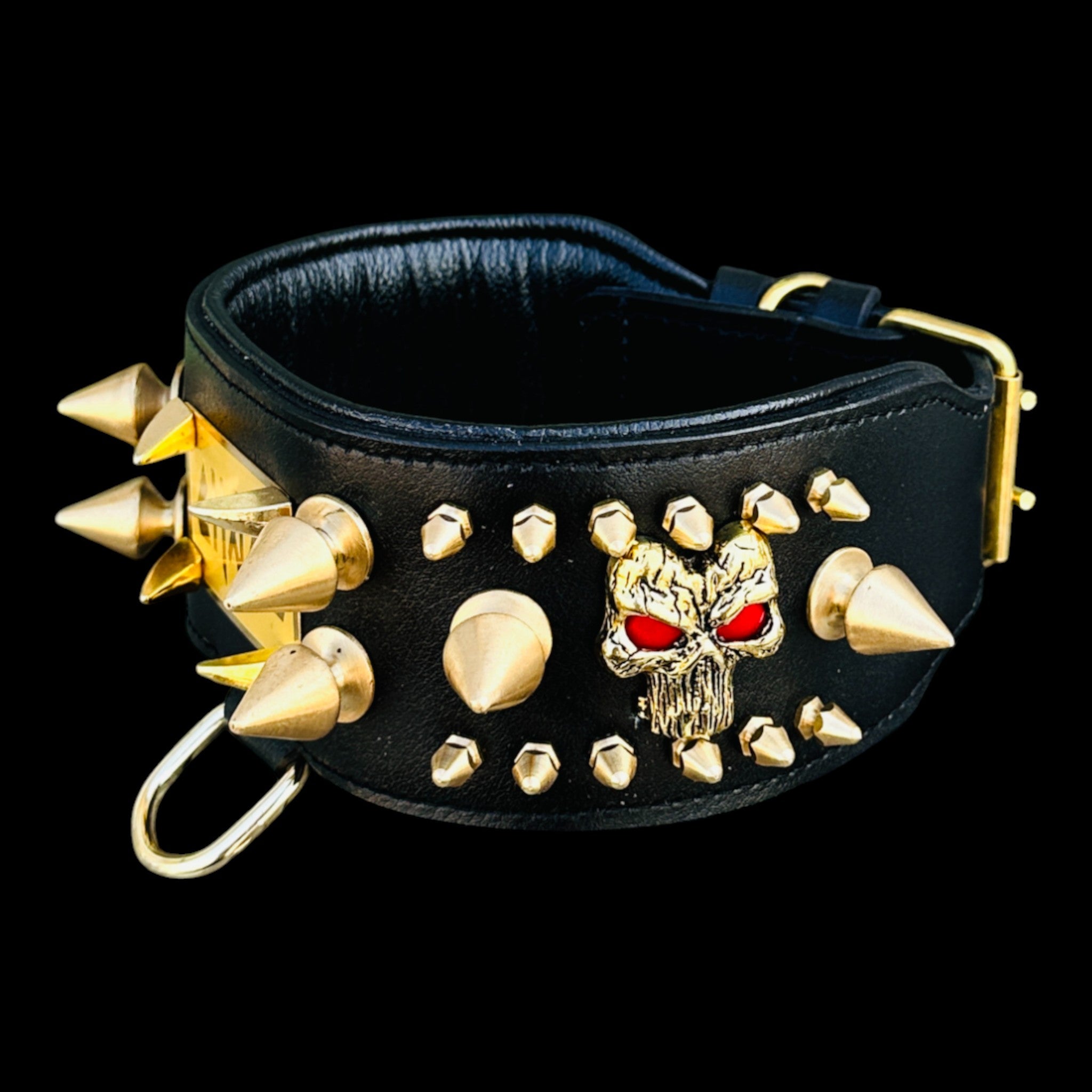 Custom engraved gold metal plate collar for strong breeds