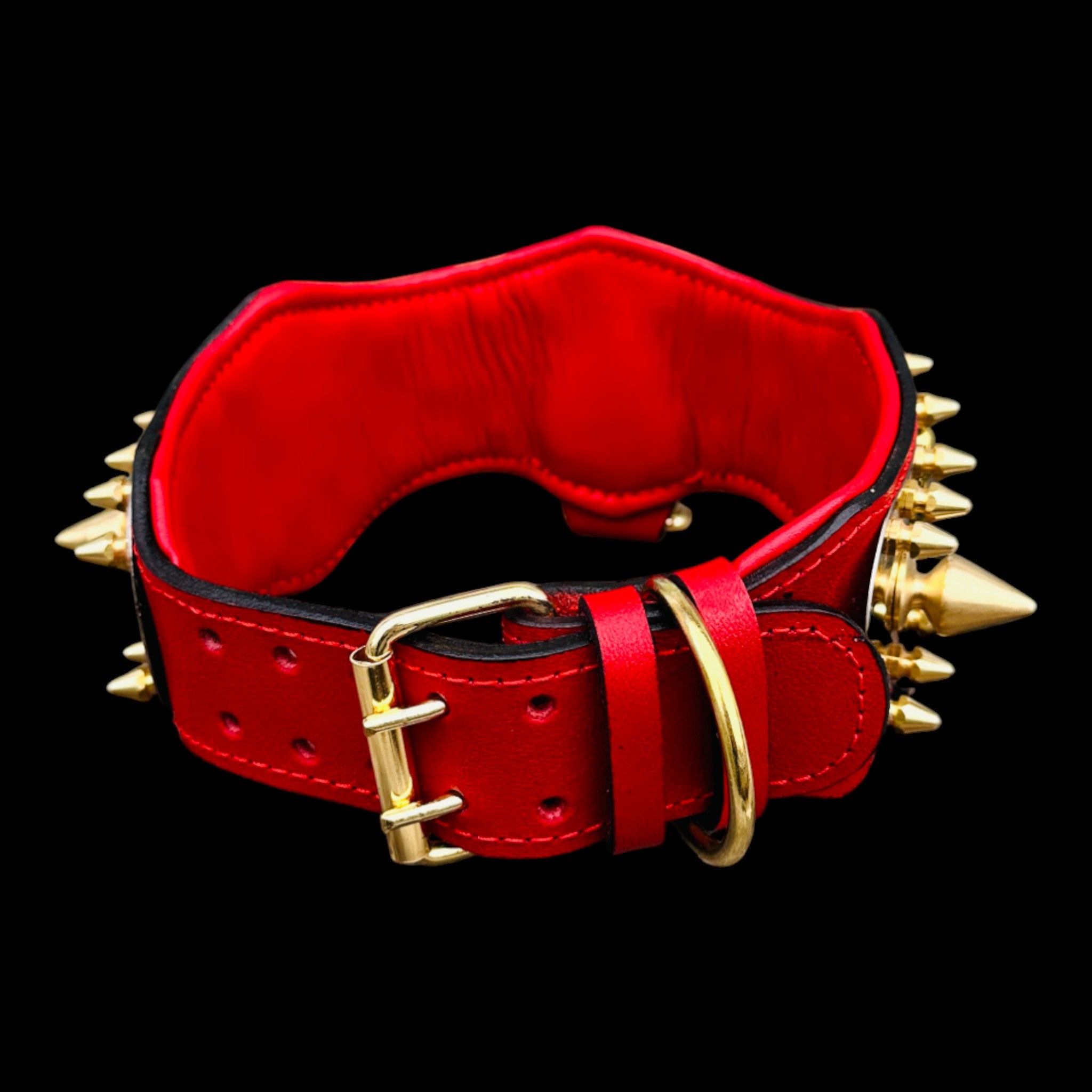 Gold spiked collar for Rottweiler and K9