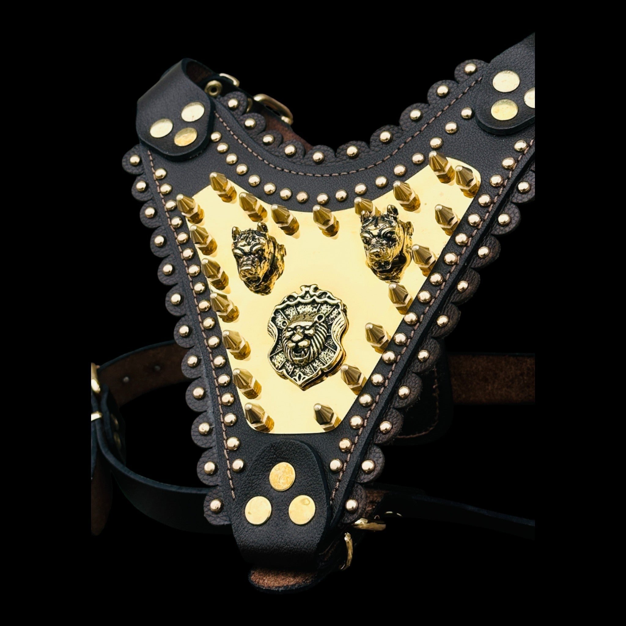 Premium golden plate chest harness for Rottweiler and Kangal