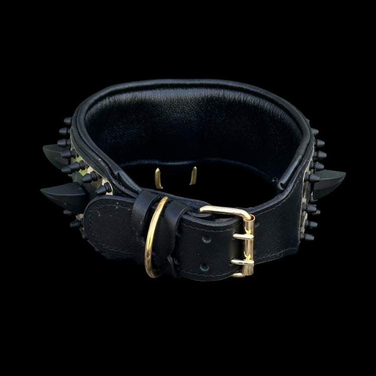 Premium gold lion logo dog collar for K9 training