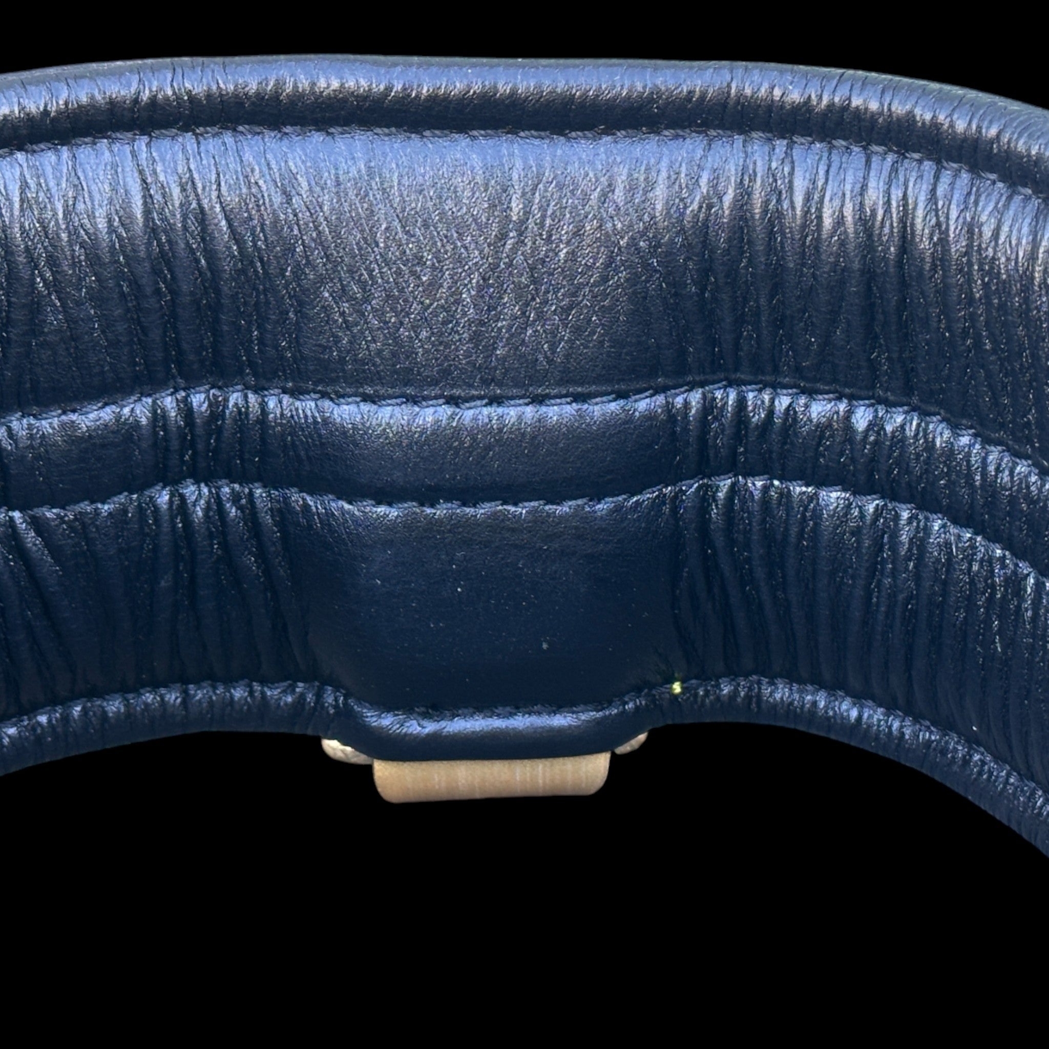 Strong breed leather collar with lion emblem
