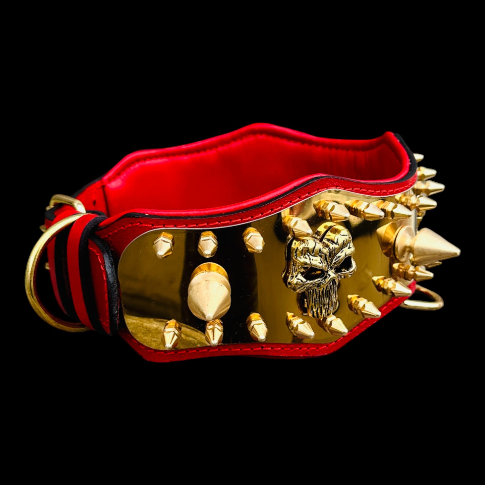 Red leather interior and gold steel plate