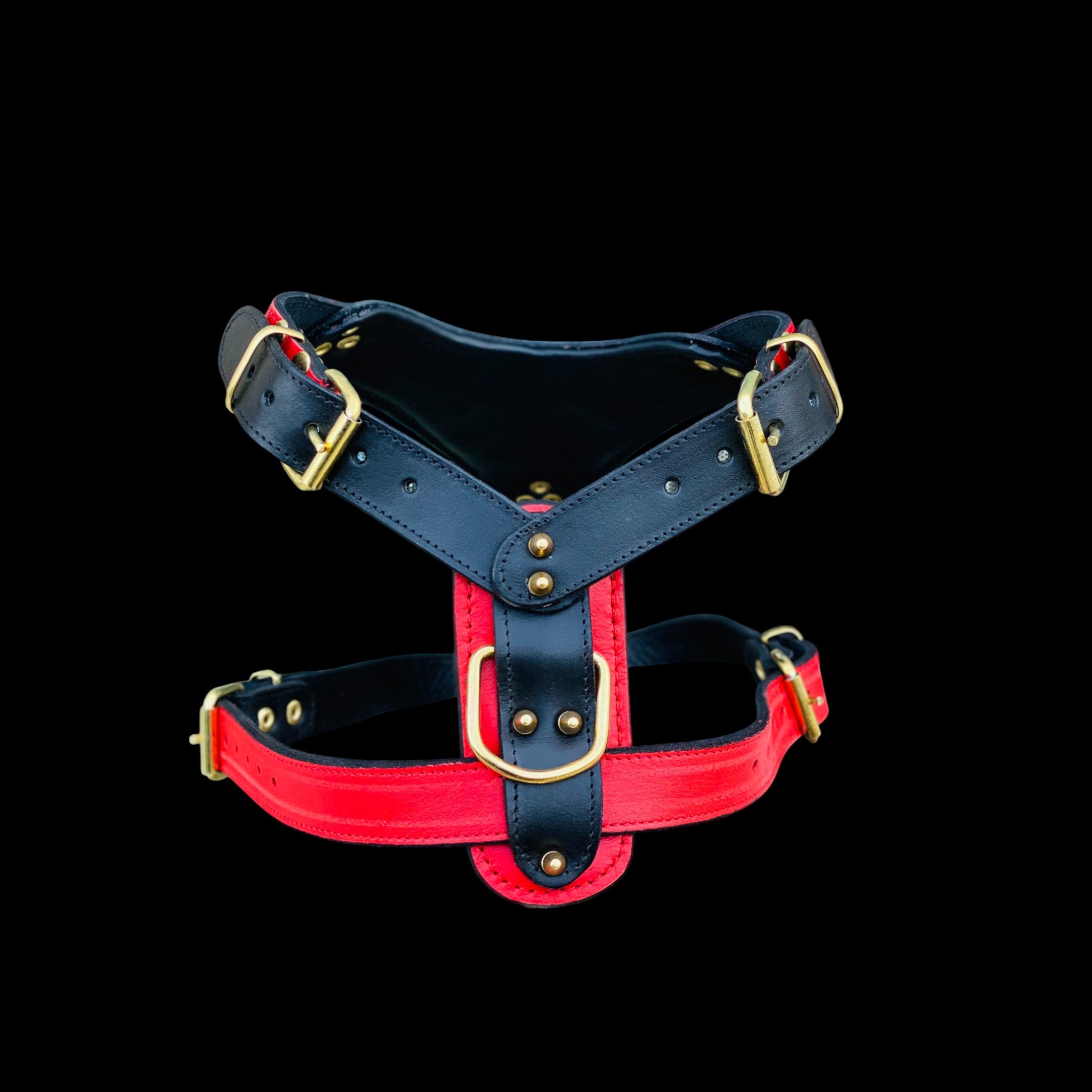 Handmade buffalo leather dog harness with lion emblem. Strong, stylish, and built for powerful breeds like Bully, Cane Corso, Rottweiler & K9