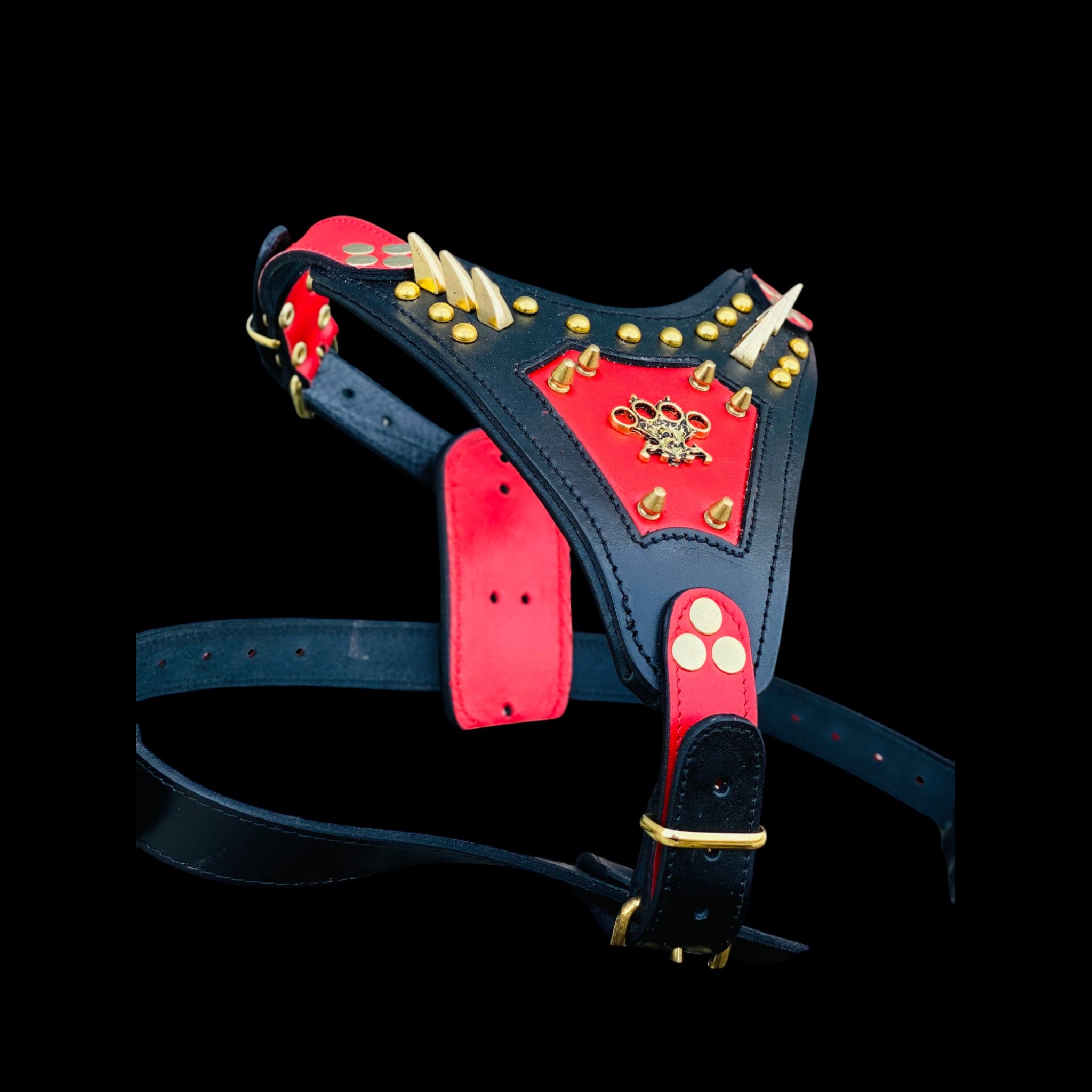 Gold spiked buffalo leather harness for Rottweiler
