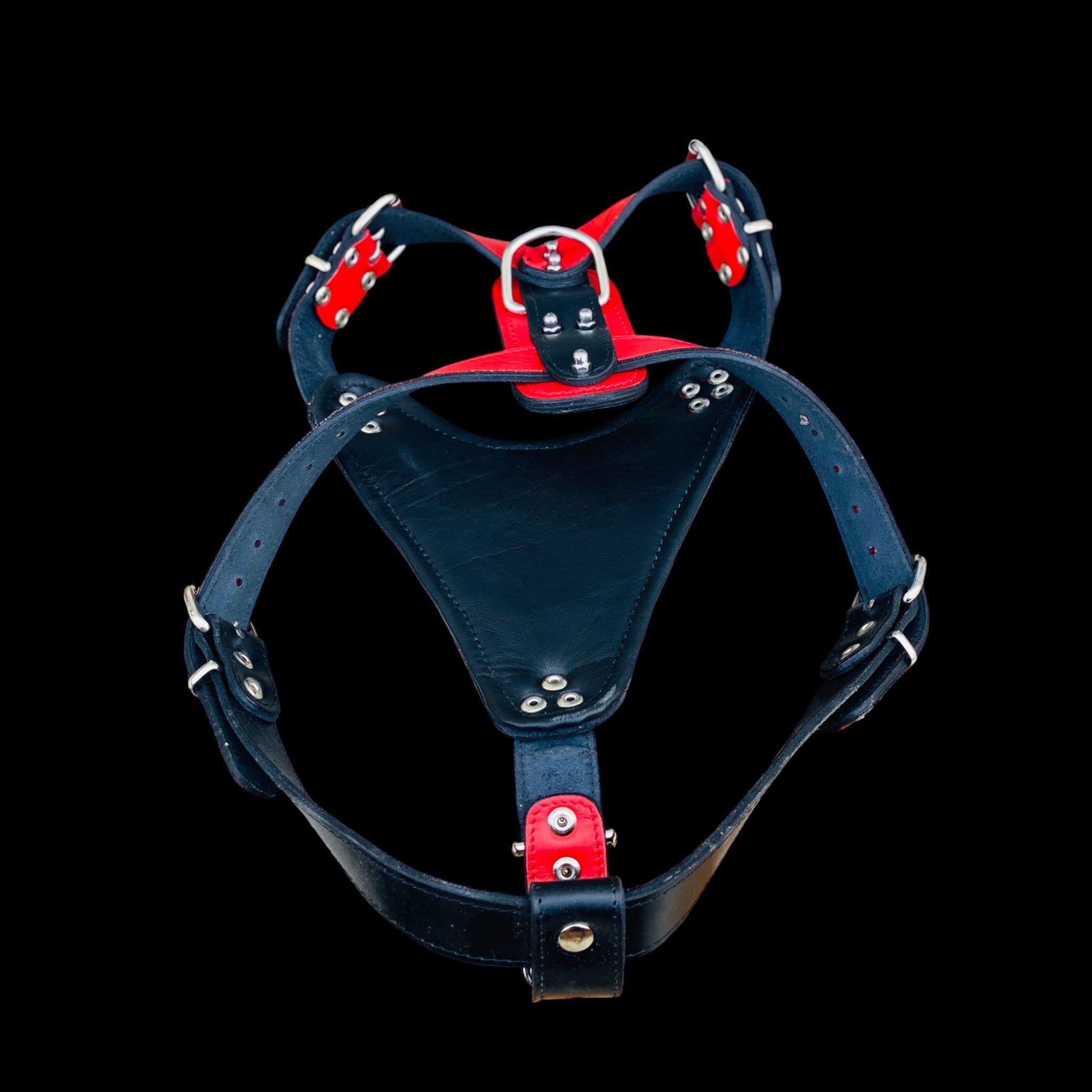 Handmade buffalo leather dog harness with lion emblem. Strong, stylish, and built for powerful breeds like Bully, Cane Corso, Rottweiler & K9