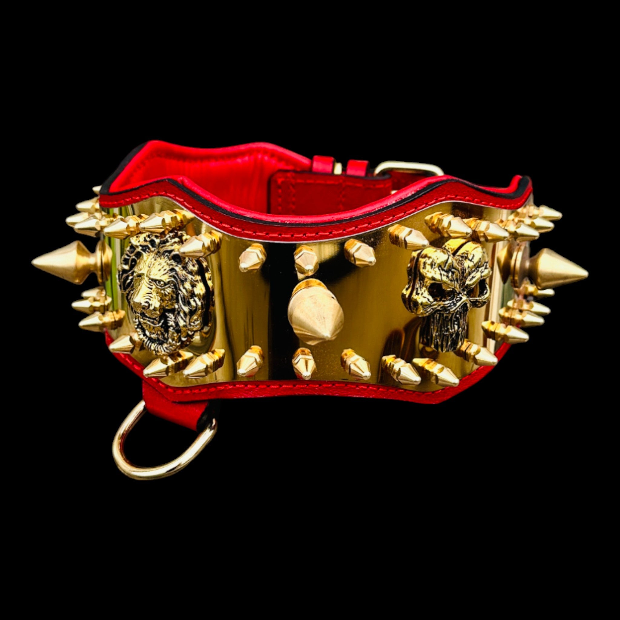 Doberman wearing Punisher’s Wrath collar