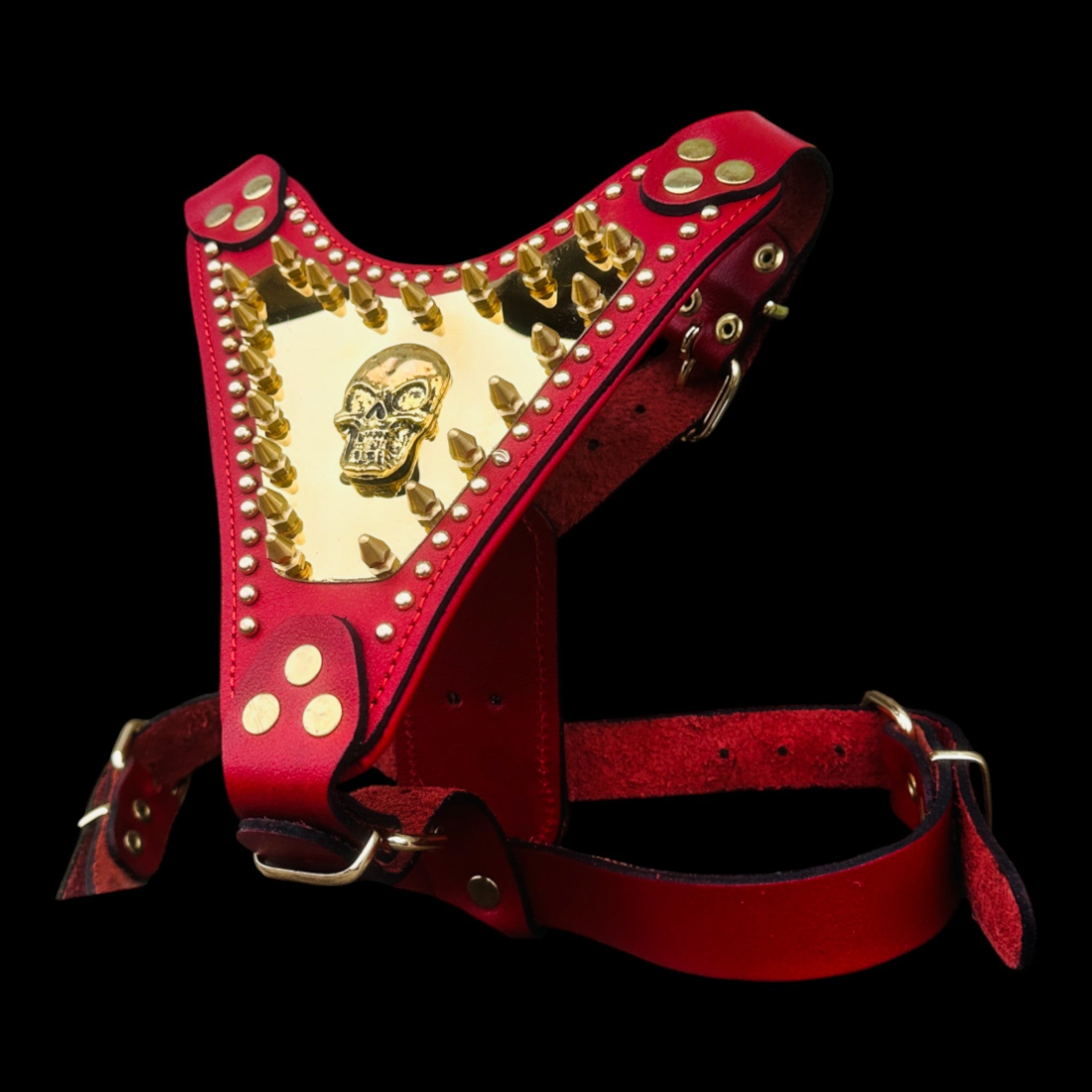 Custom bully dog harness with gold skull logo decoration
