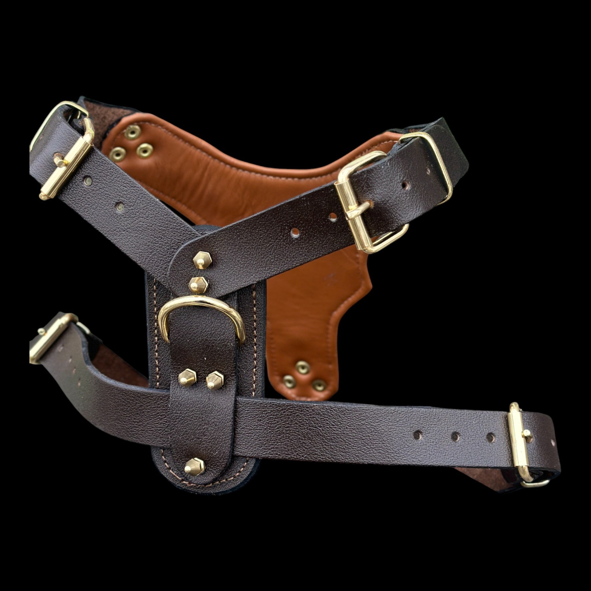 Brown Leather Dog Harness with Copper Engraved Logo & Gold Spikes – Handmade Chest Harness for Large Breeds