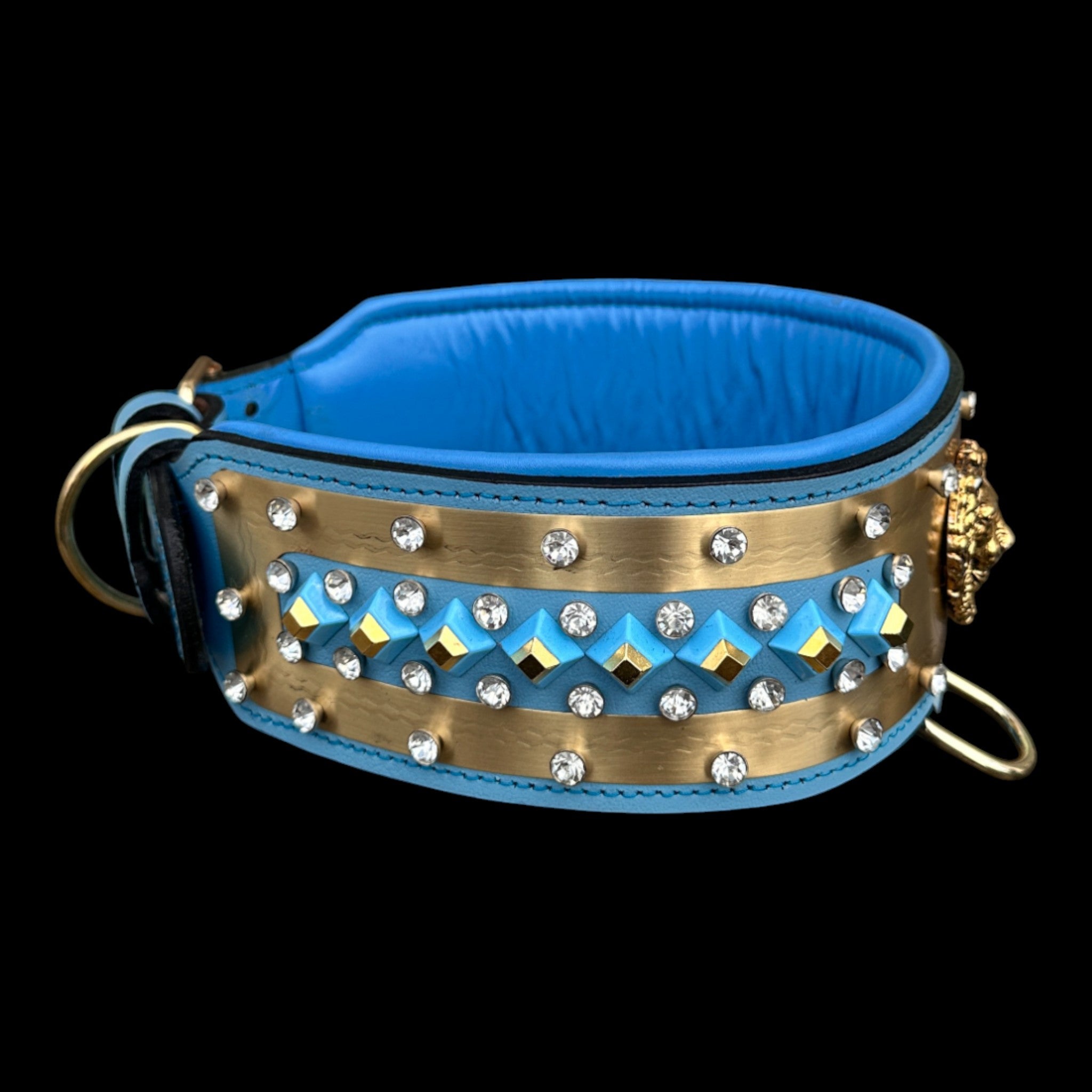Turquoise and gold leather dog collar UPS Express Delivery.