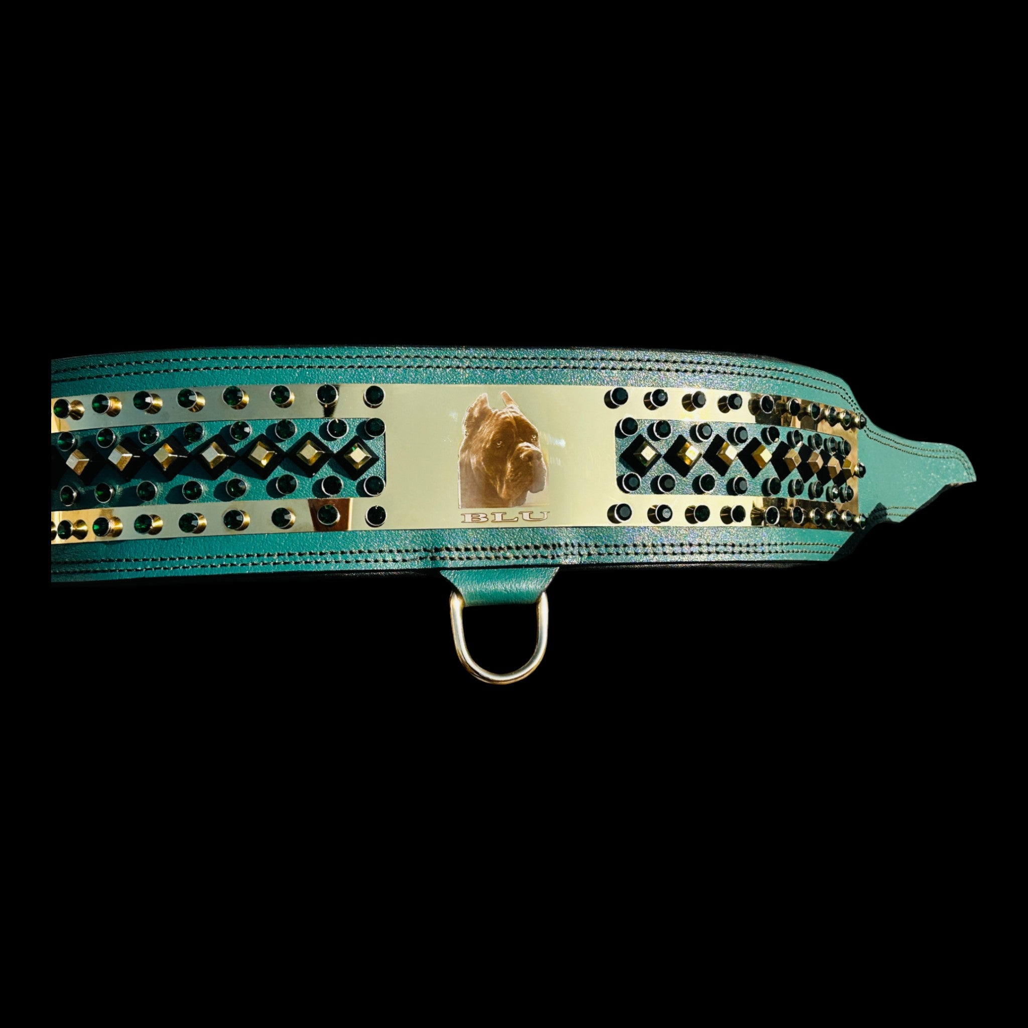 Strong breed collar with gold plate and emerald studs