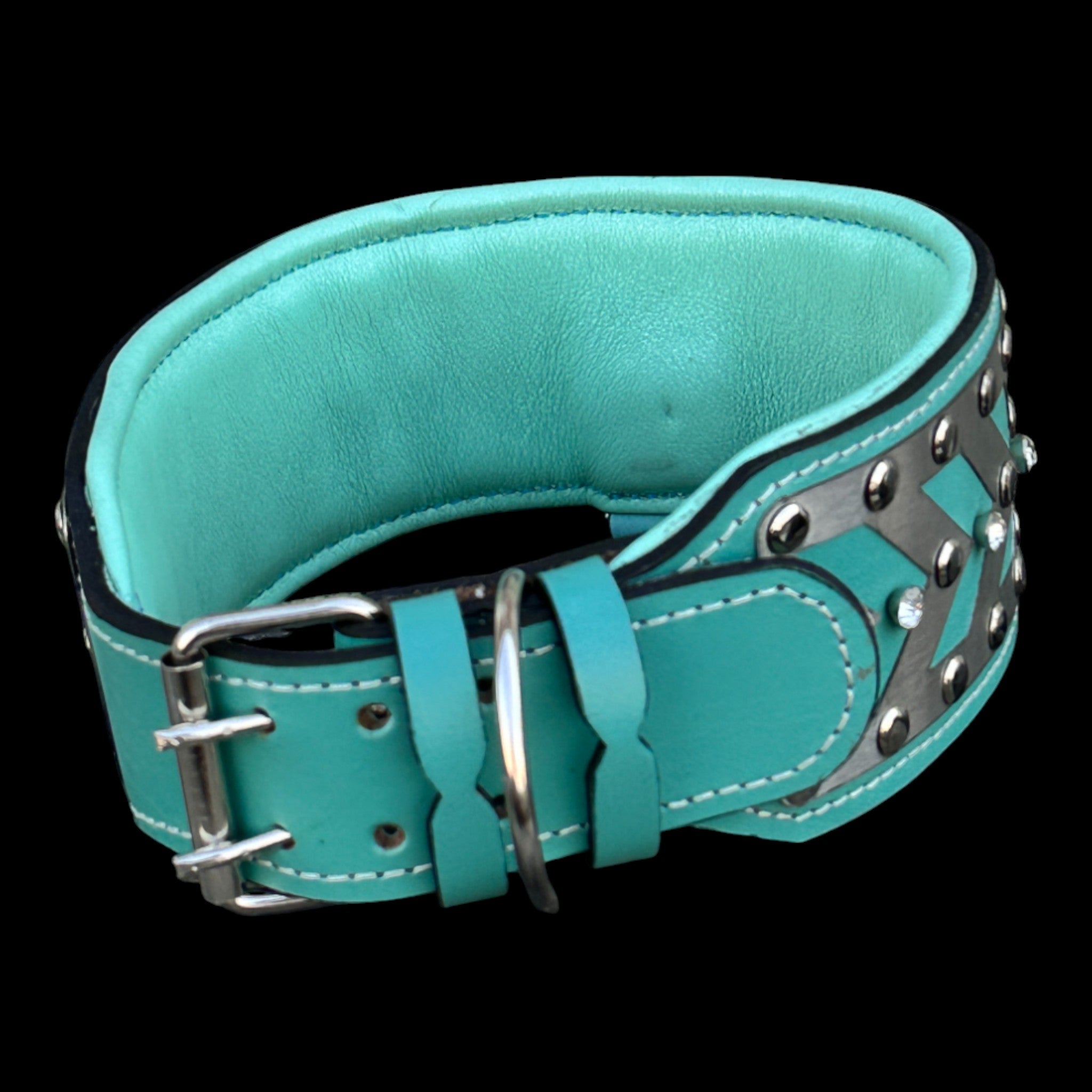 A&C Dog Collars Turquoise Steel Edition