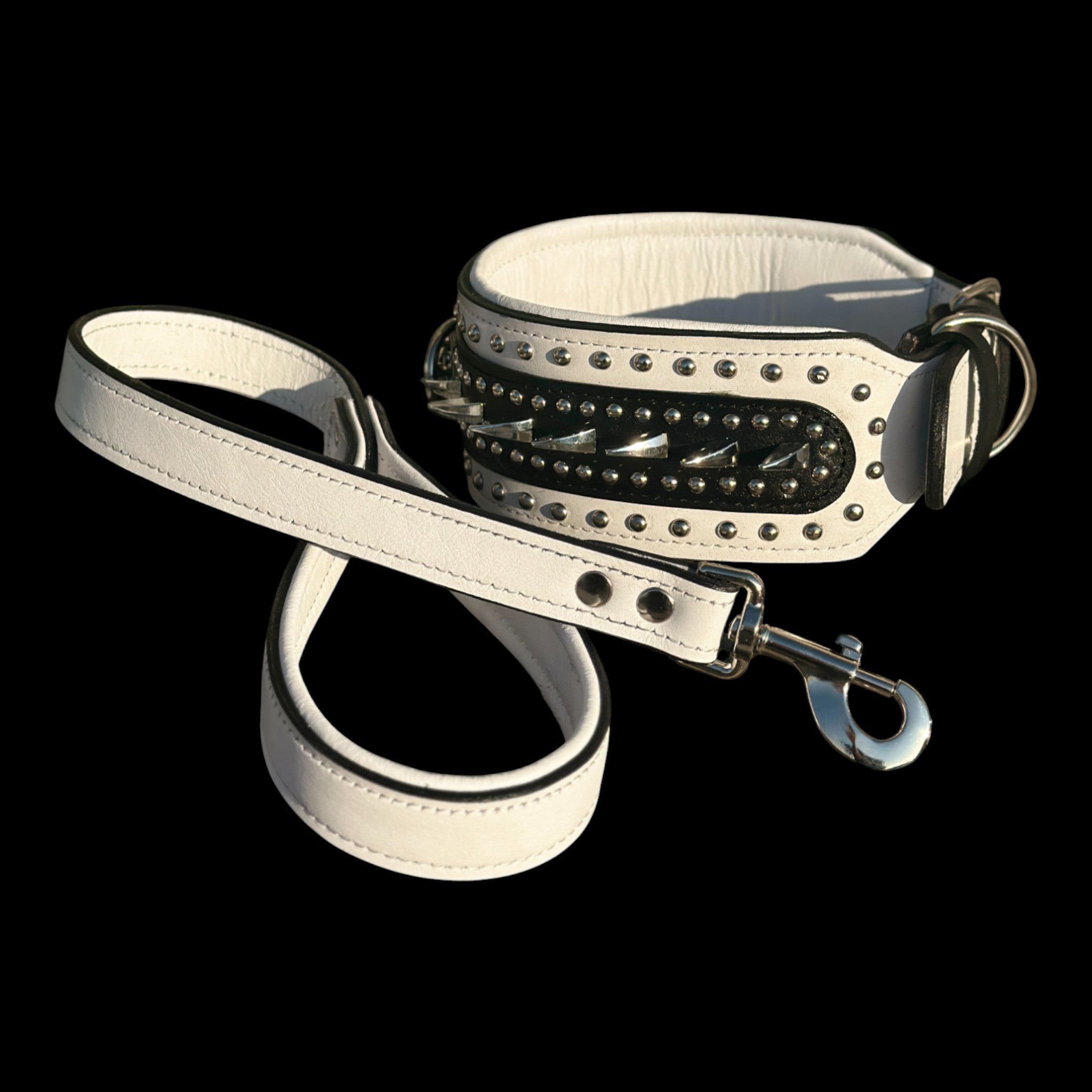 Comfortable padded collar for large dogs like Rottweiler and K9