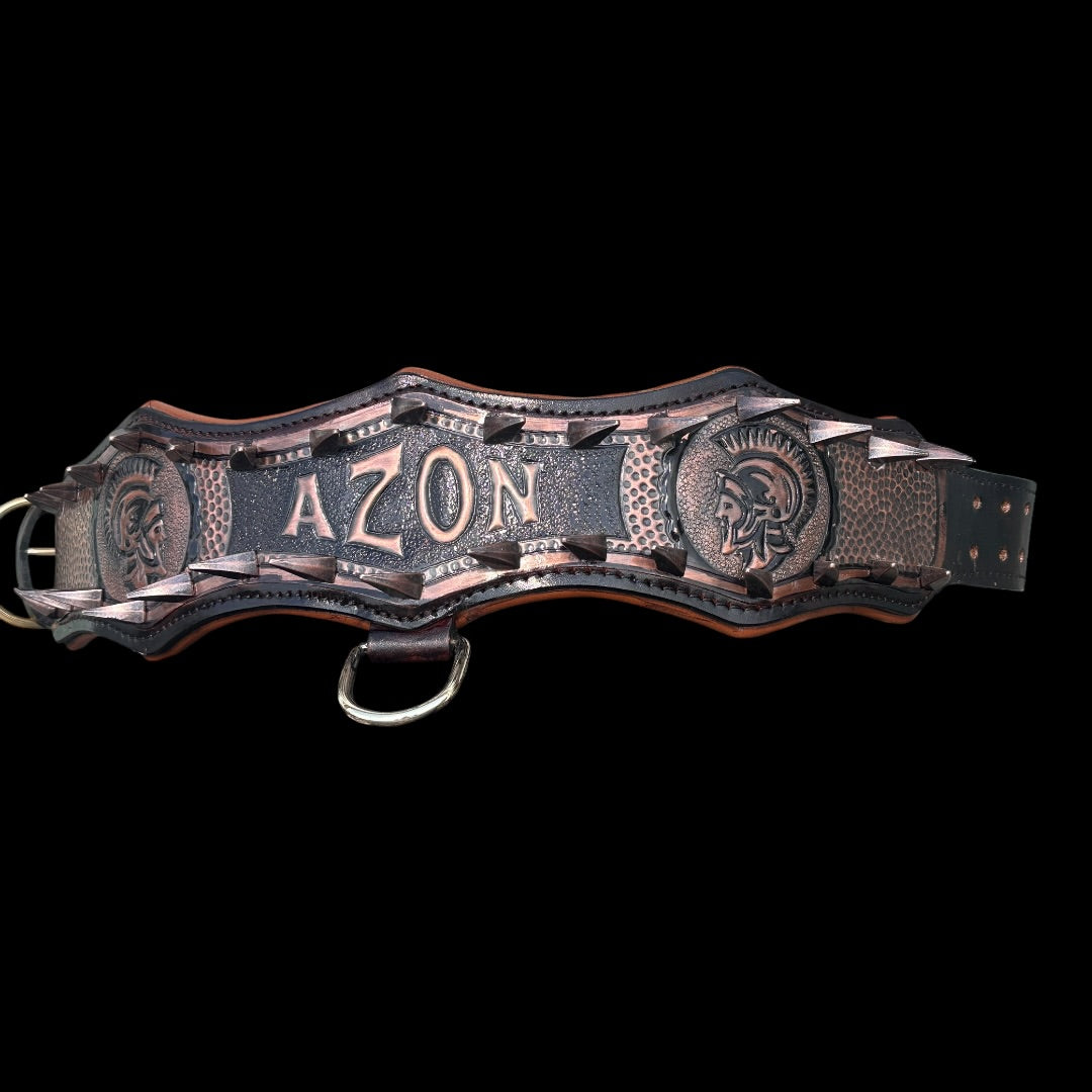 Handmade Copper Dog Collar & Harness Set